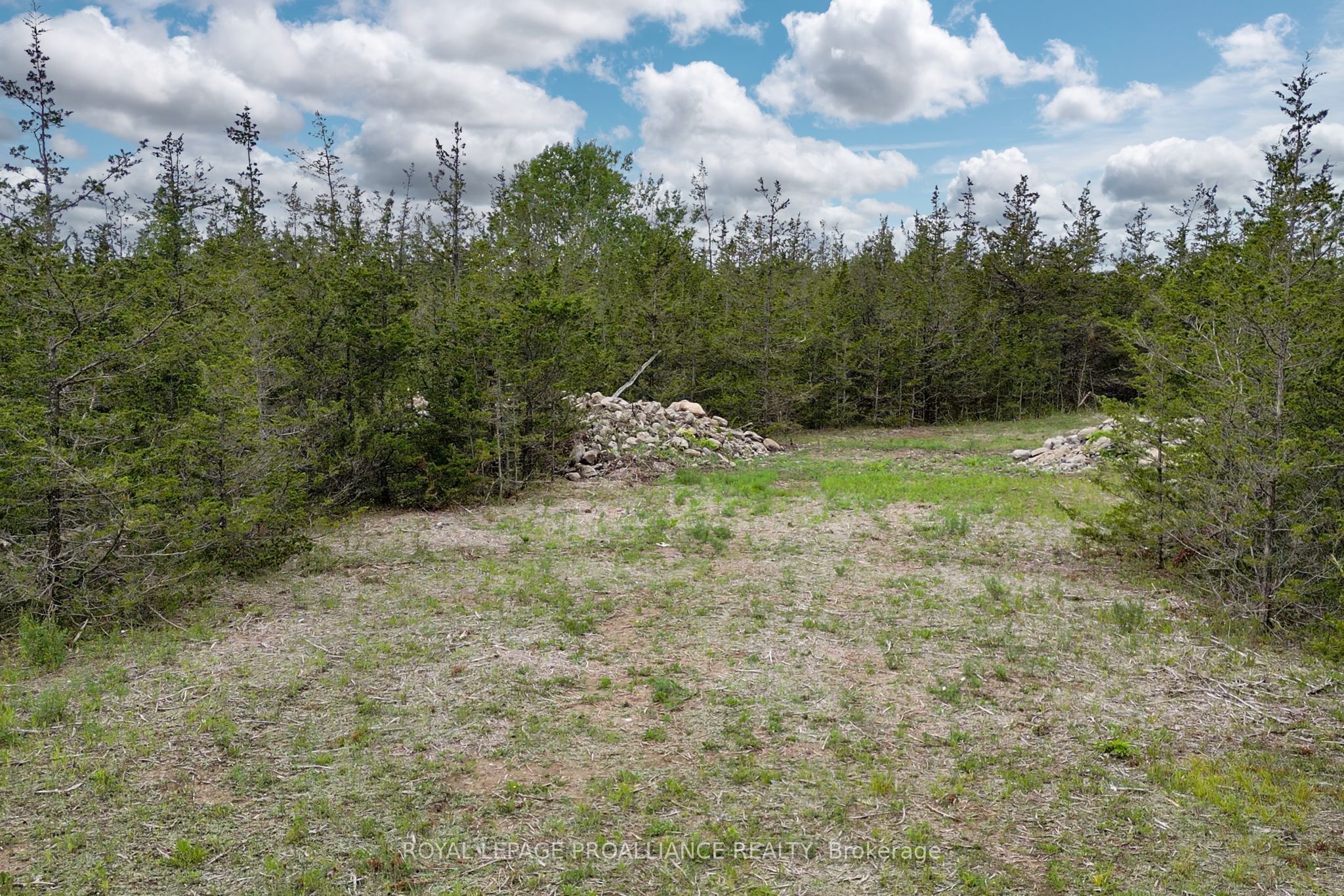 89 Power Road Property Photo 5