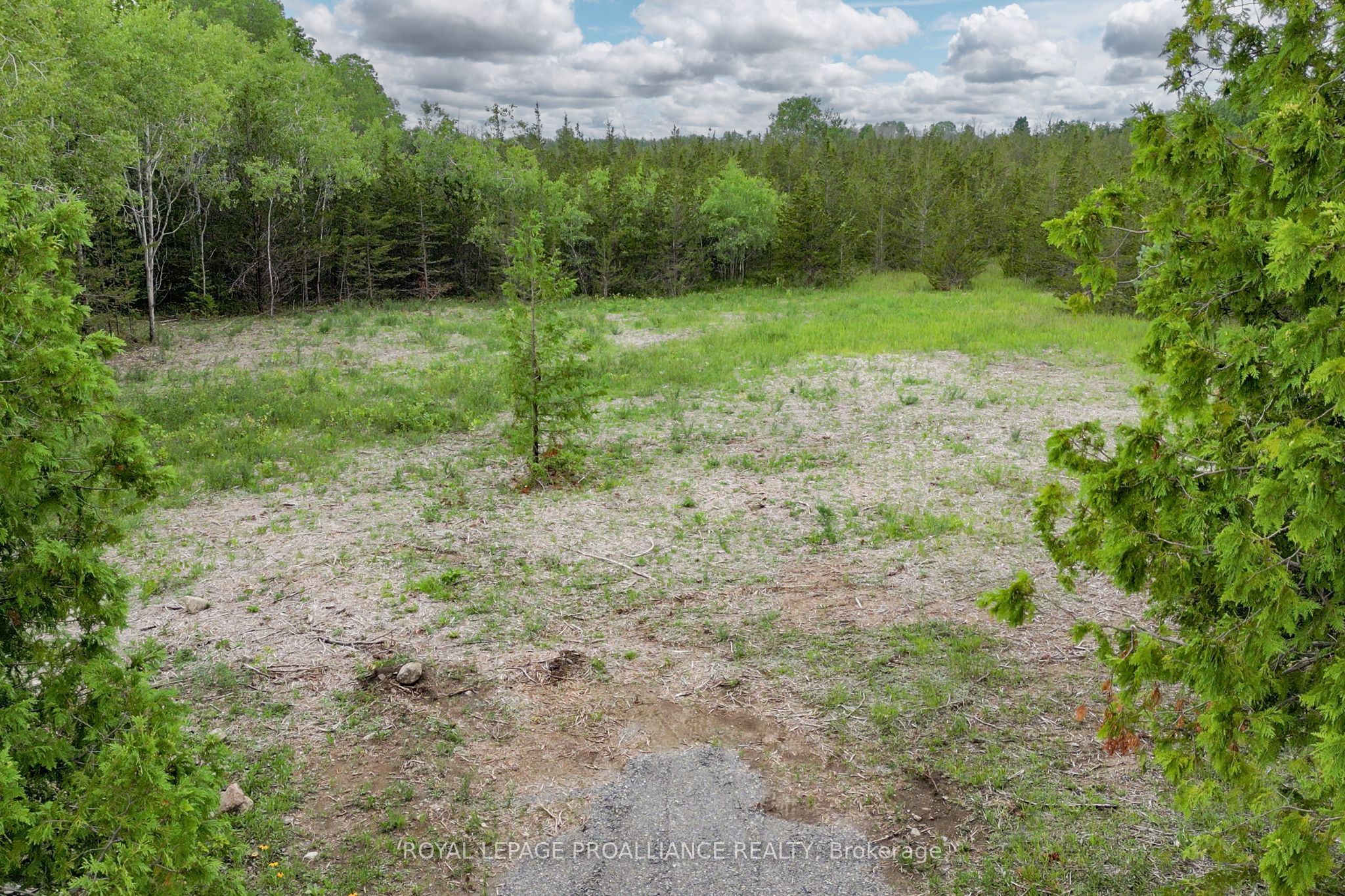 89 Power Road Property Photo 16