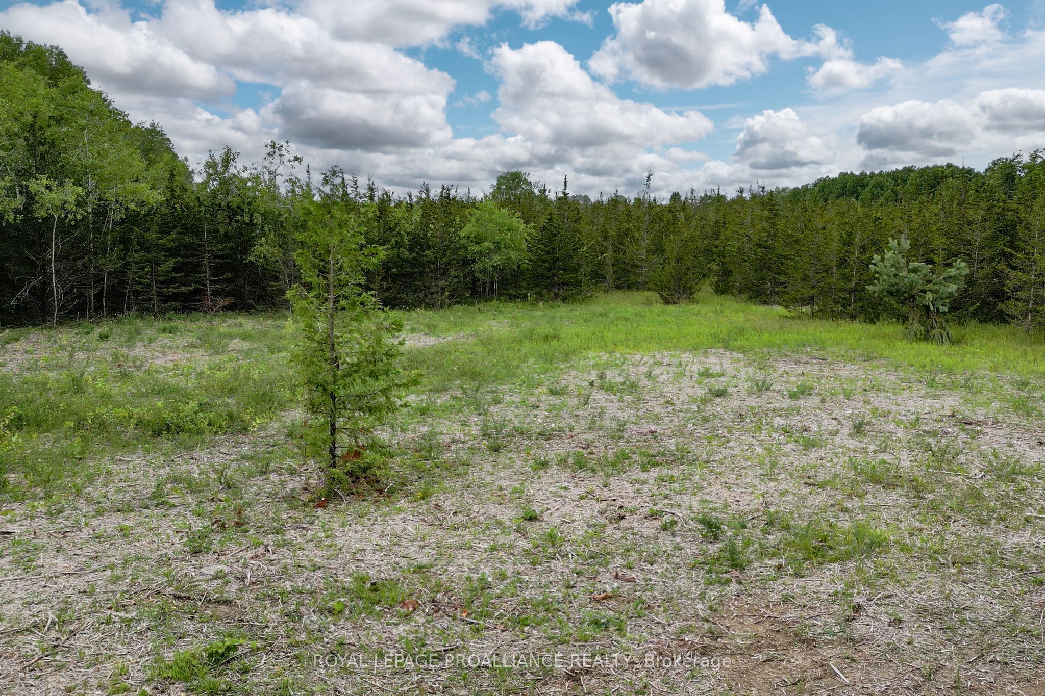 89 Power Road Property Photo 17