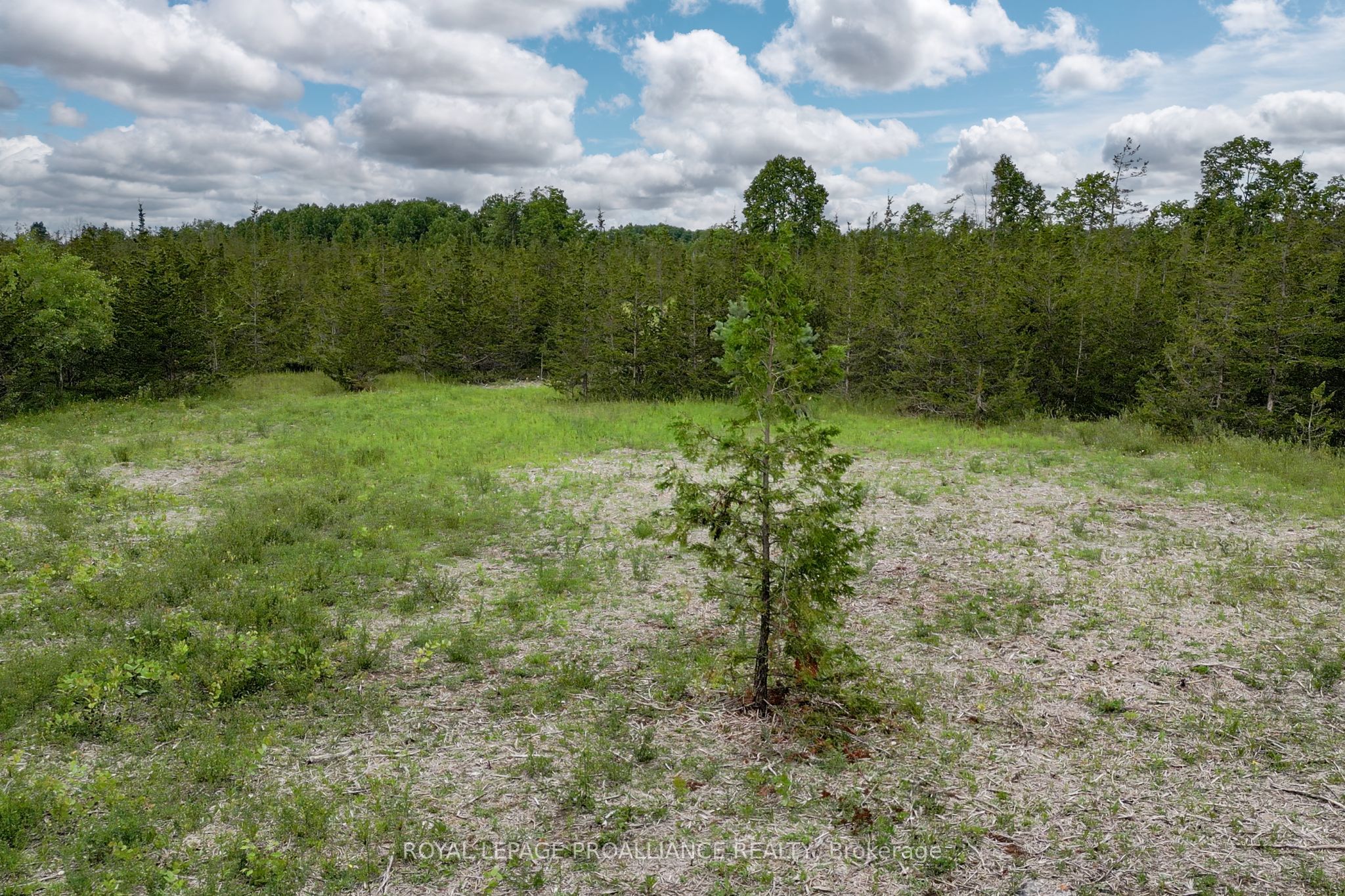 89 Power Road Property Photo 18