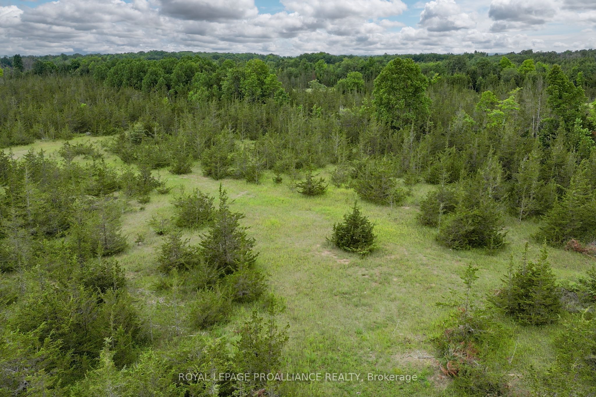 89 Power Road Property Photo 19