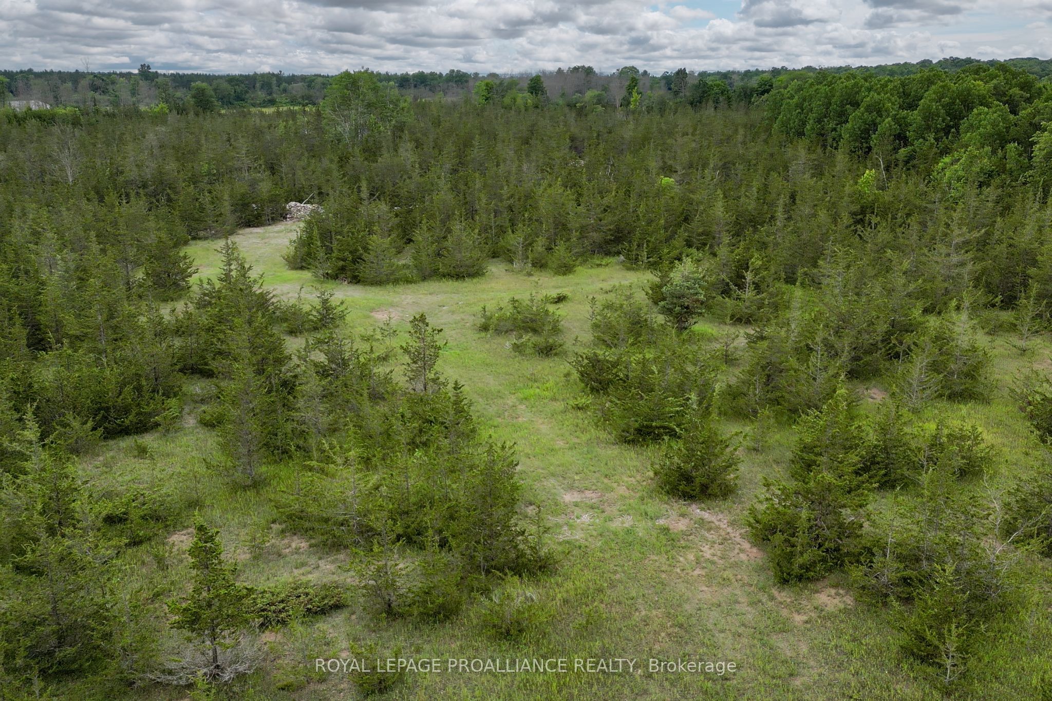 89 Power Road Property Photo 20