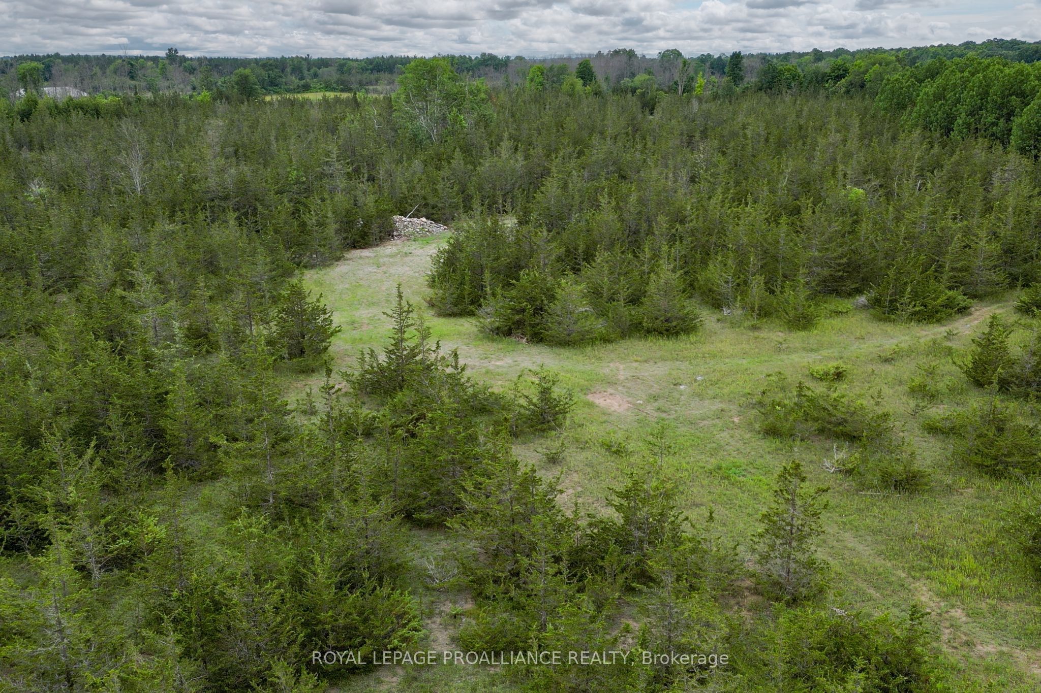 89 Power Road Property Photo 21