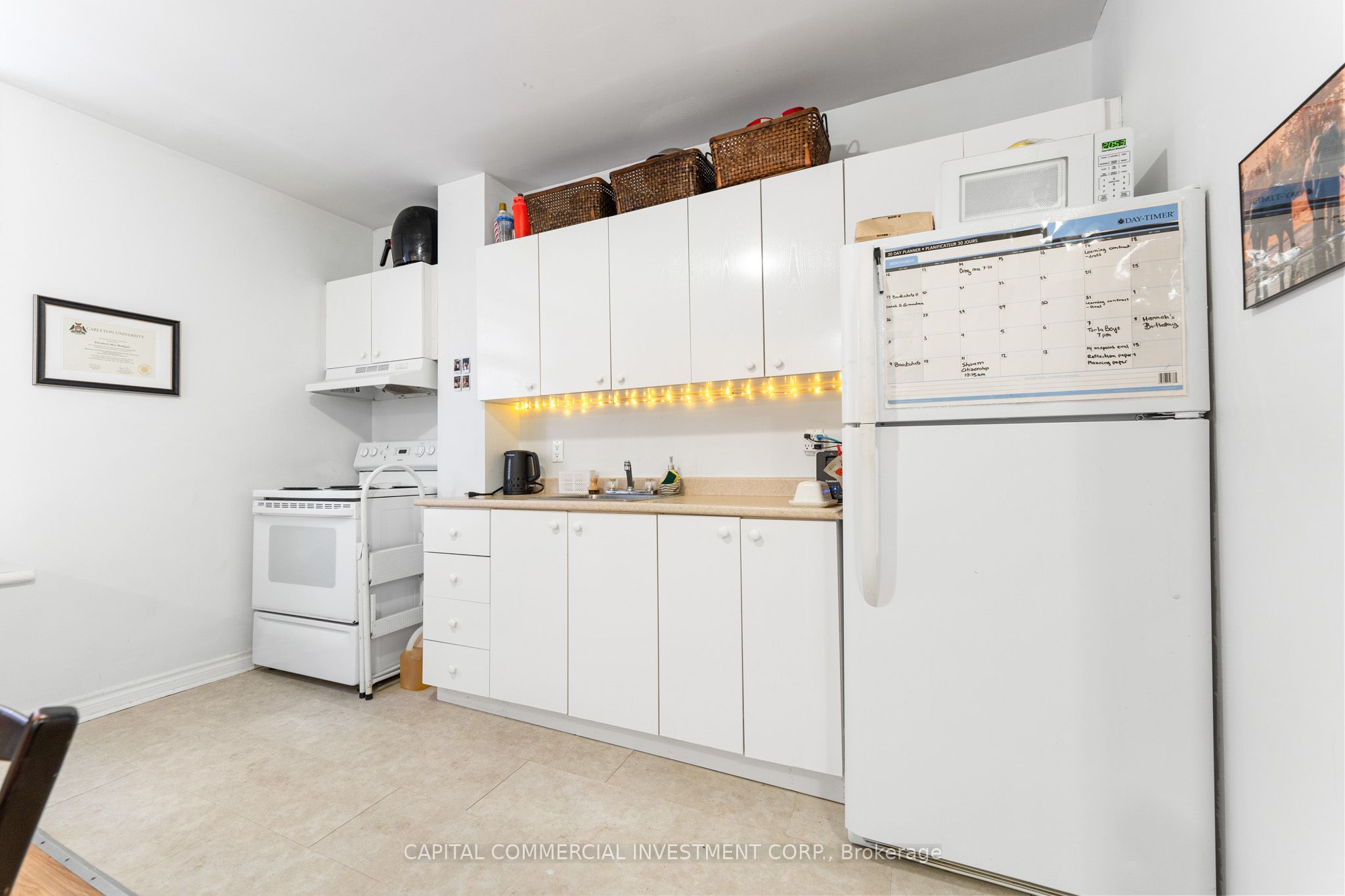 4 Eccles Street Property Photo 15