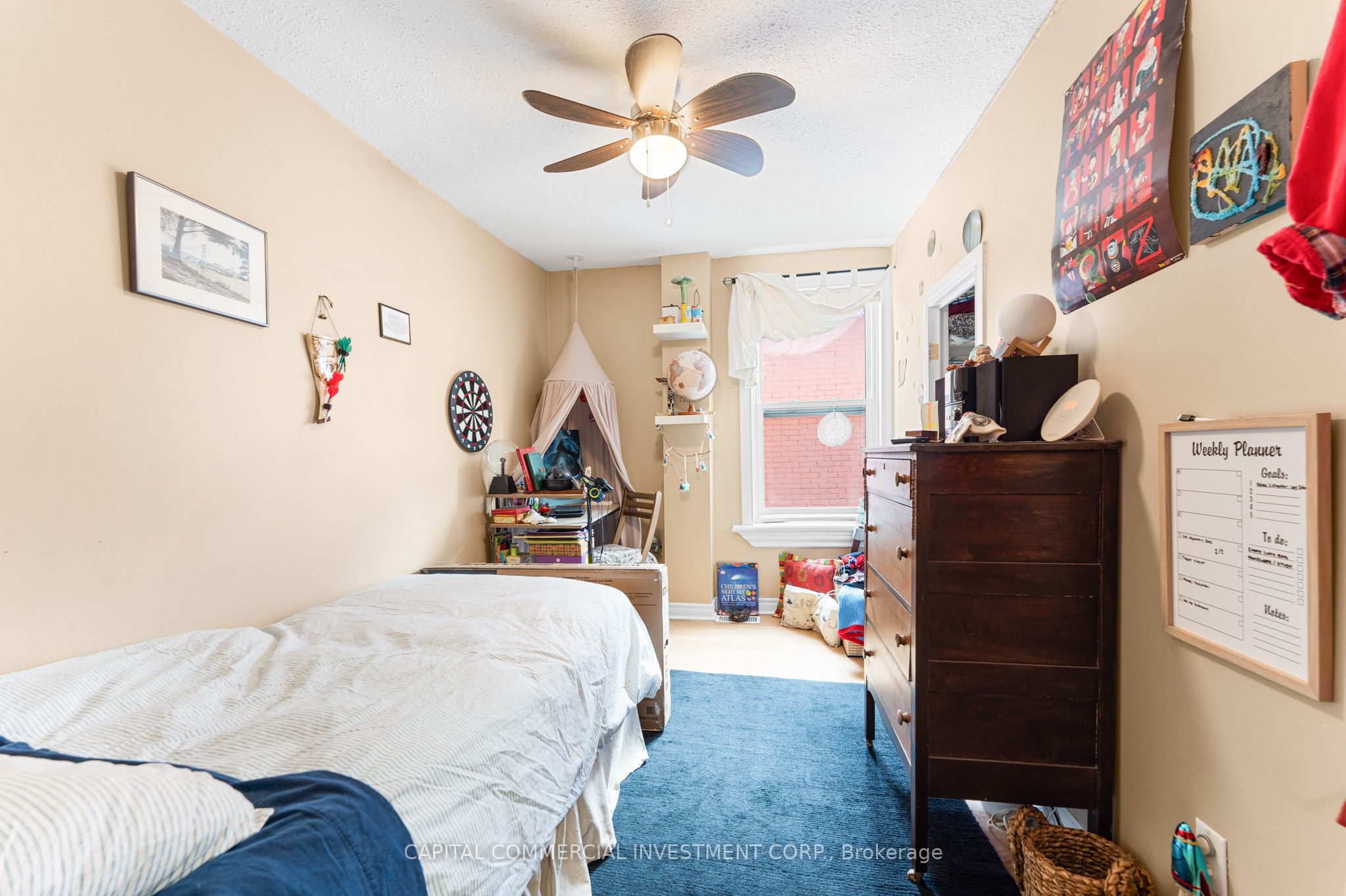 4 Eccles Street Property Photo 23