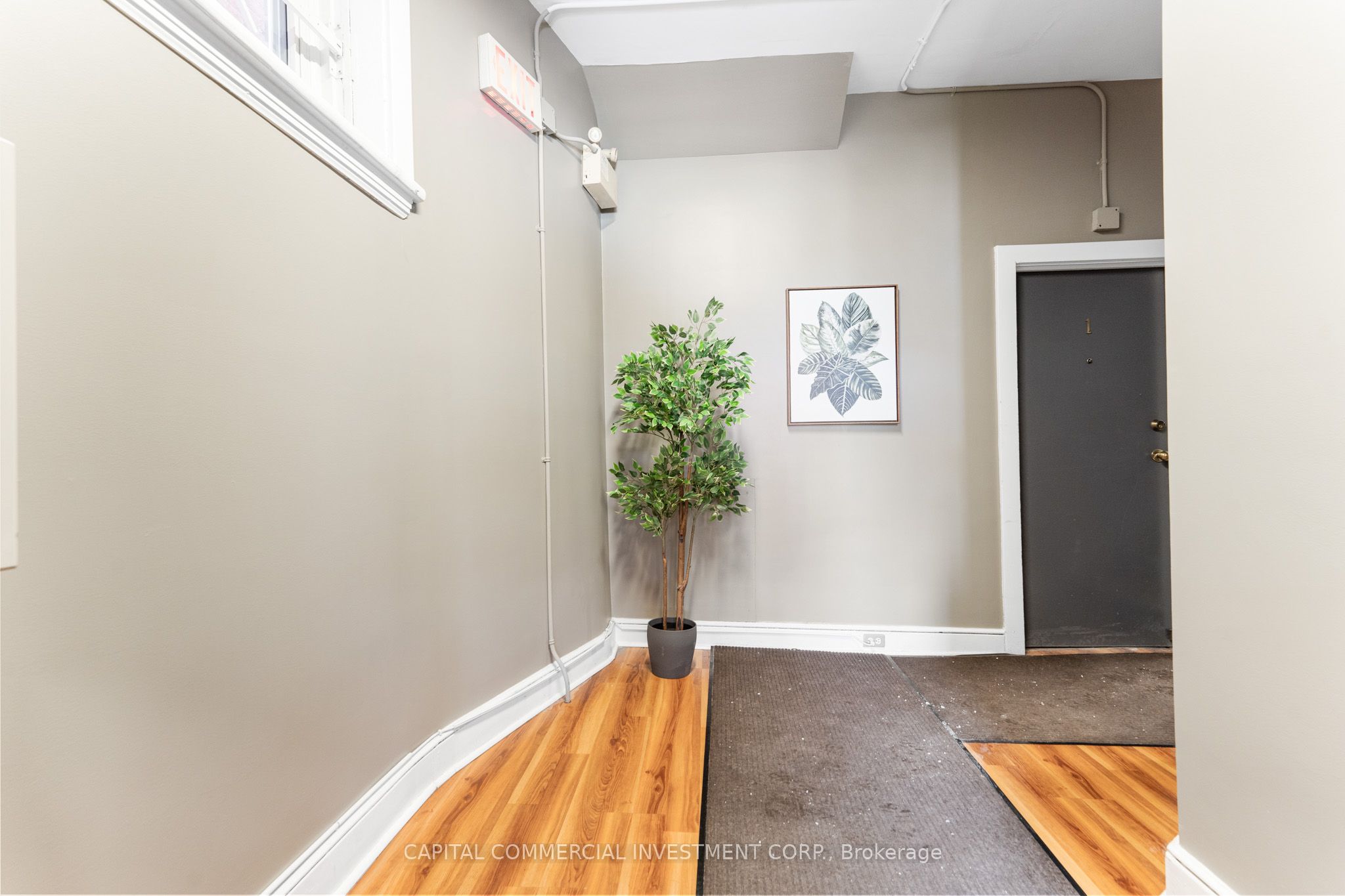 484-486 Gilmour Street Property Photo 6