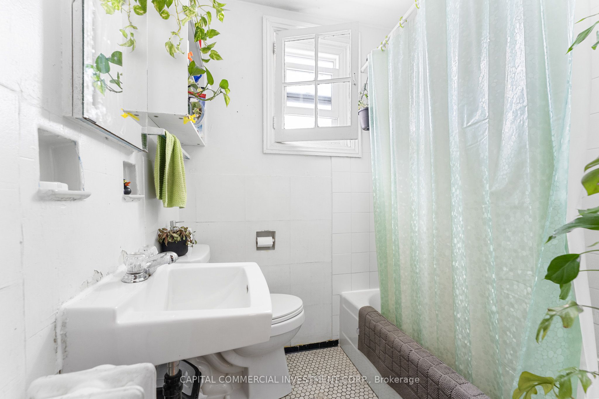 484-486 Gilmour Street Property Photo 28