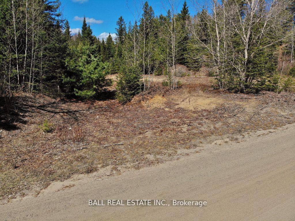 N/a Hillsview Road Property Photo 19