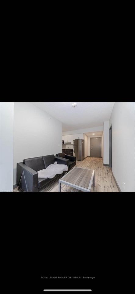 #2618 - 258b Sunview Street Property Photo 4