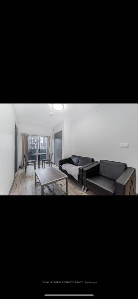 #2618 - 258b Sunview Street Property Photo 5
