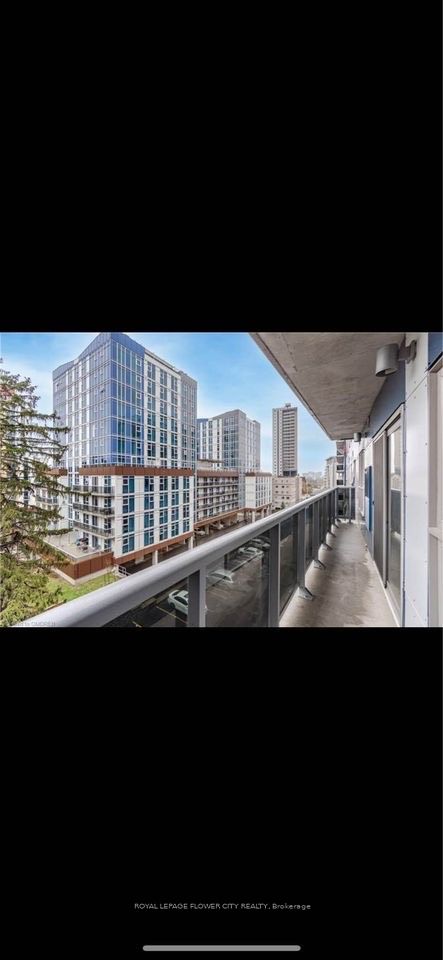 #2618 - 258b Sunview Street Property Photo 15