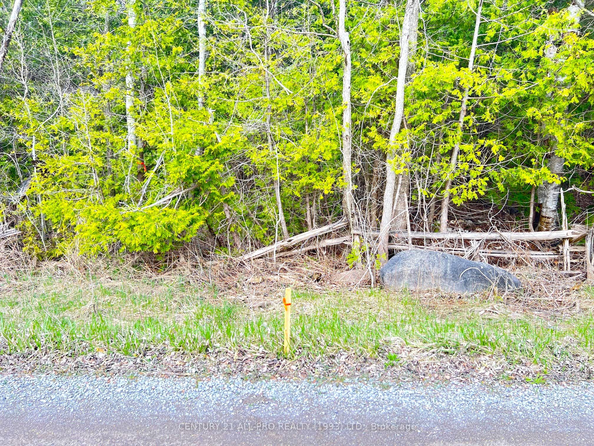 Lot 100 Baxter Road Property Photo 4