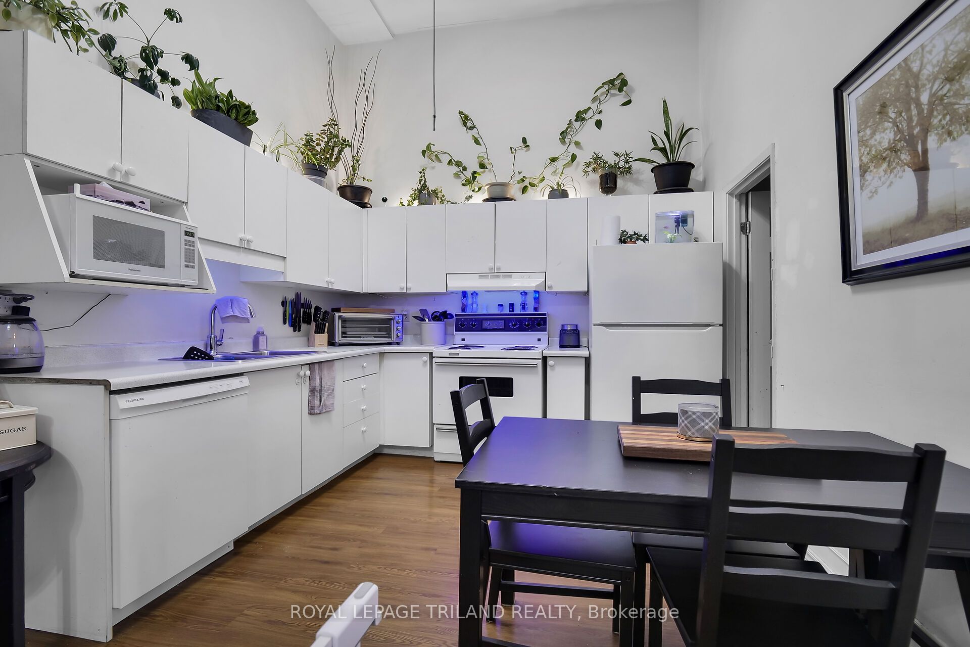 449 Talbot Street Property Photo 20