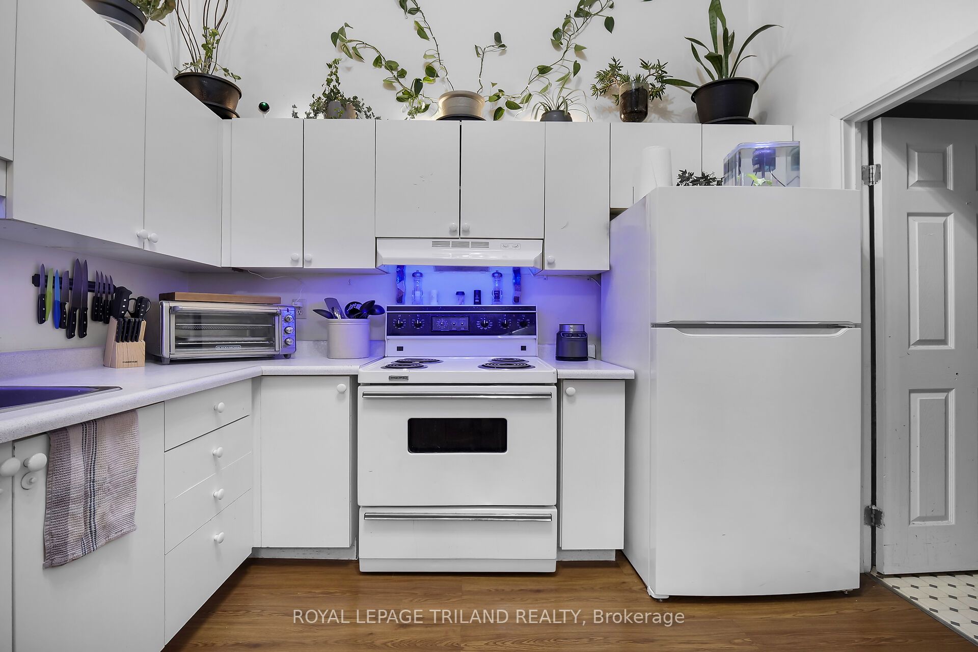 449 Talbot Street Property Photo 21