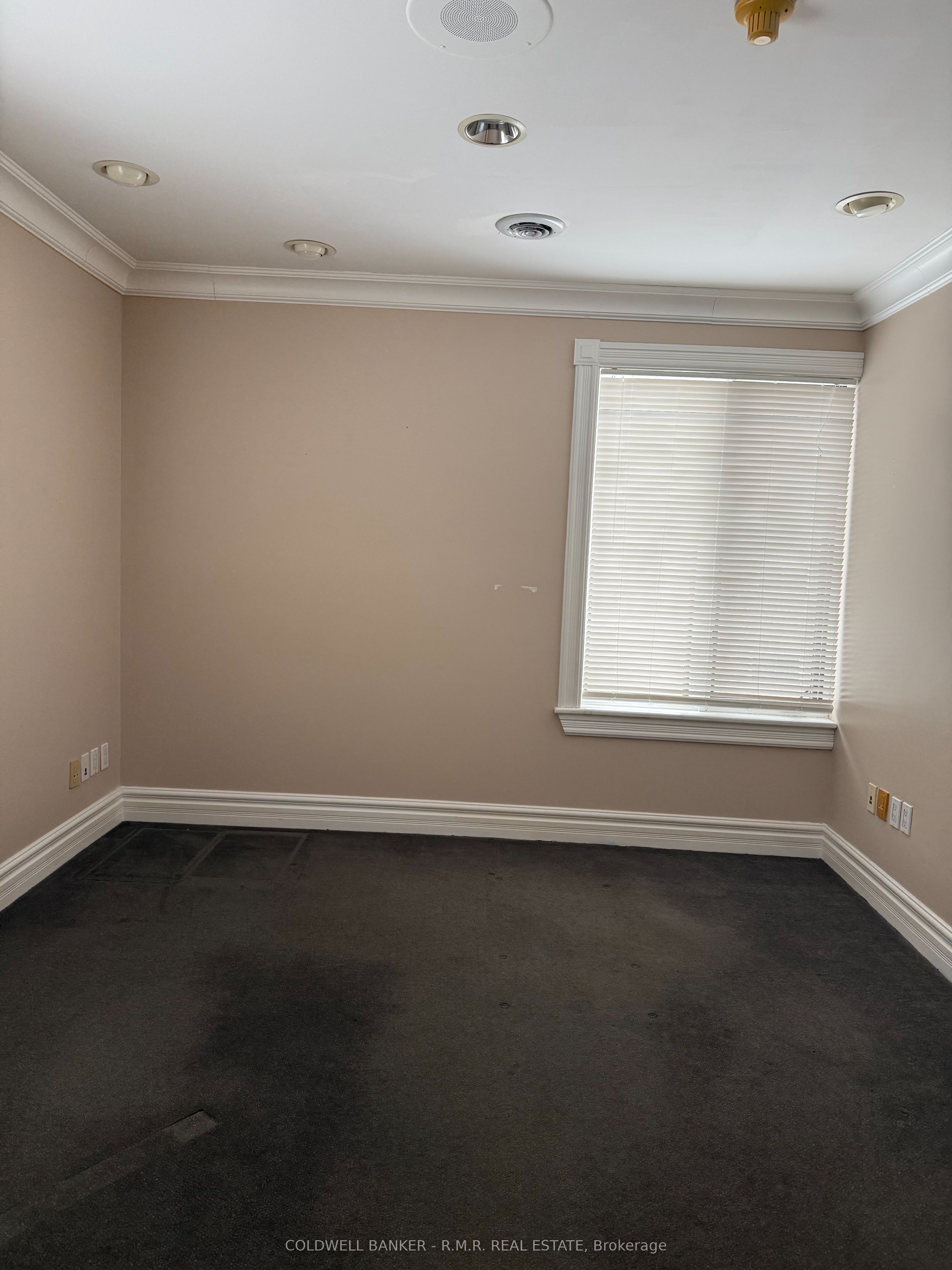 #upper - 438 Division Street Property Photo 5