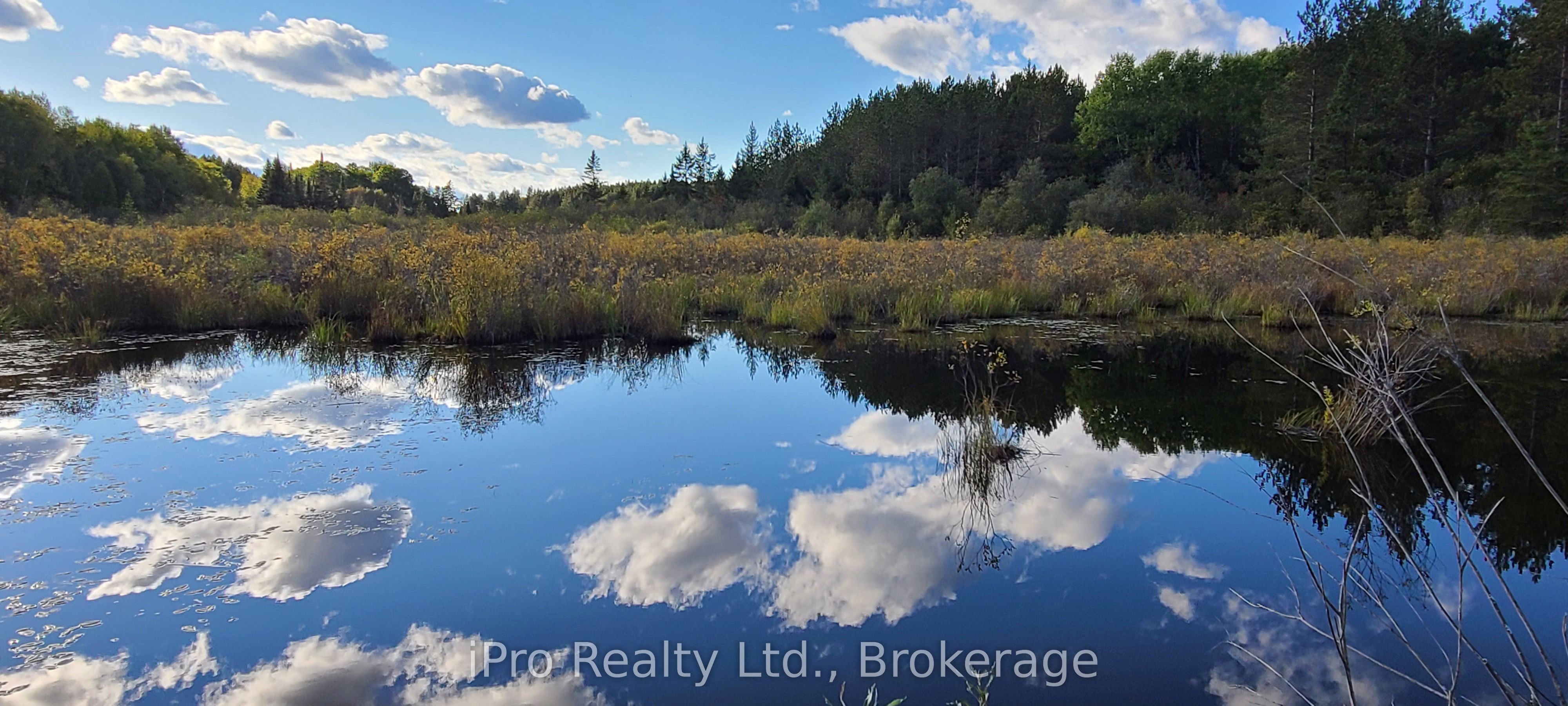 10160 County Road 41 Road Property Photo