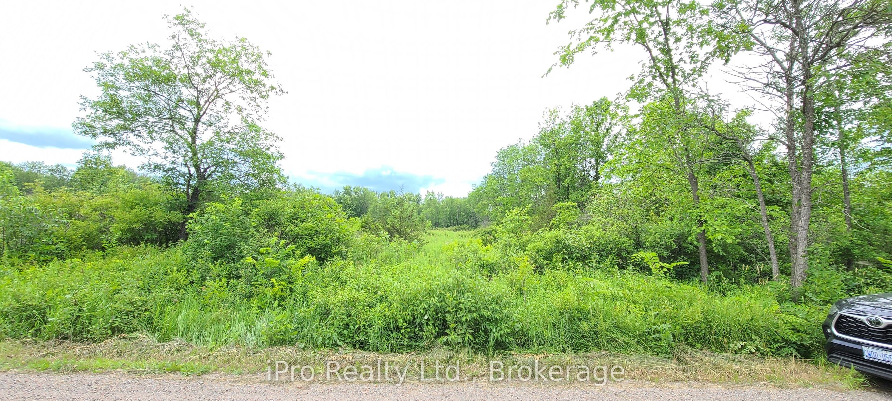 788 Courneya Road Property Photo 17