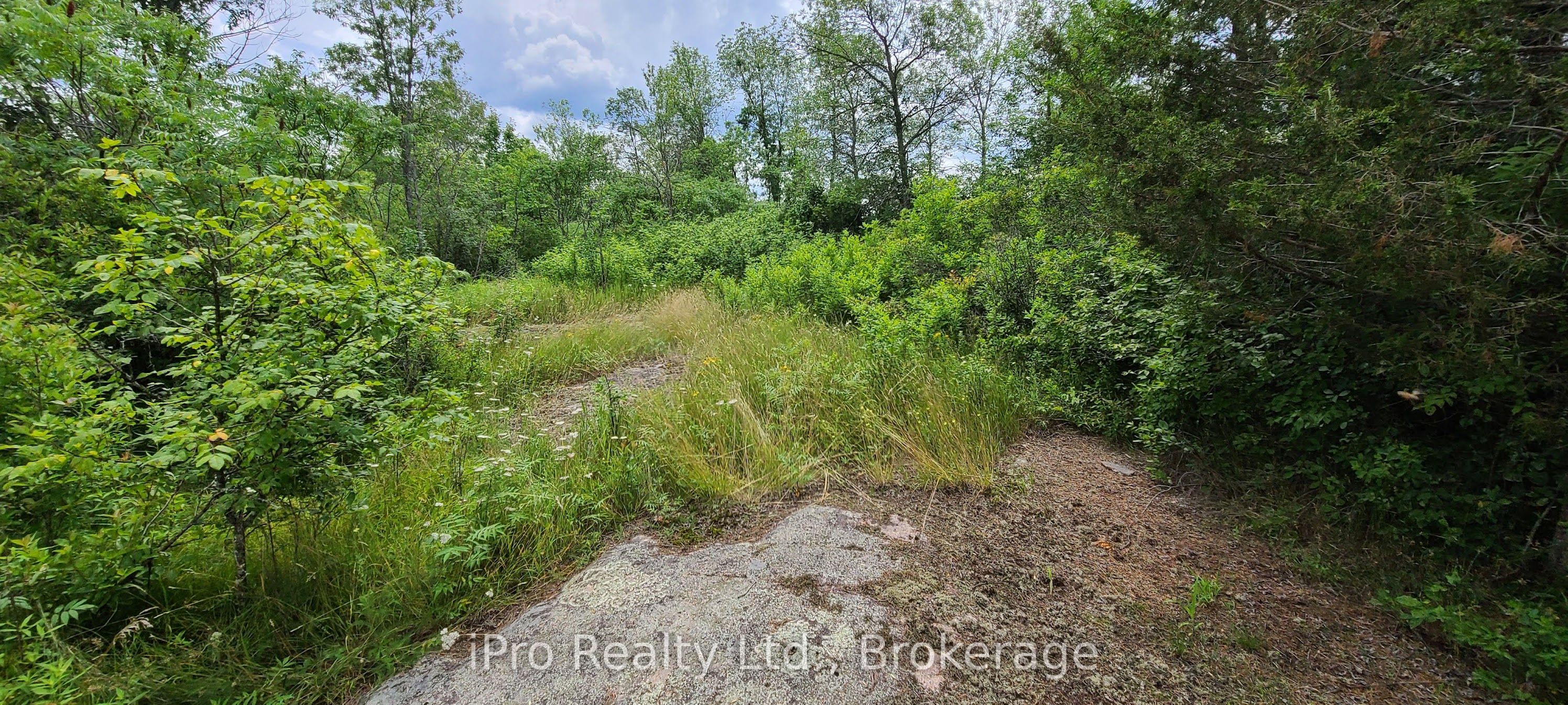 788 Courneya Road Property Photo 18