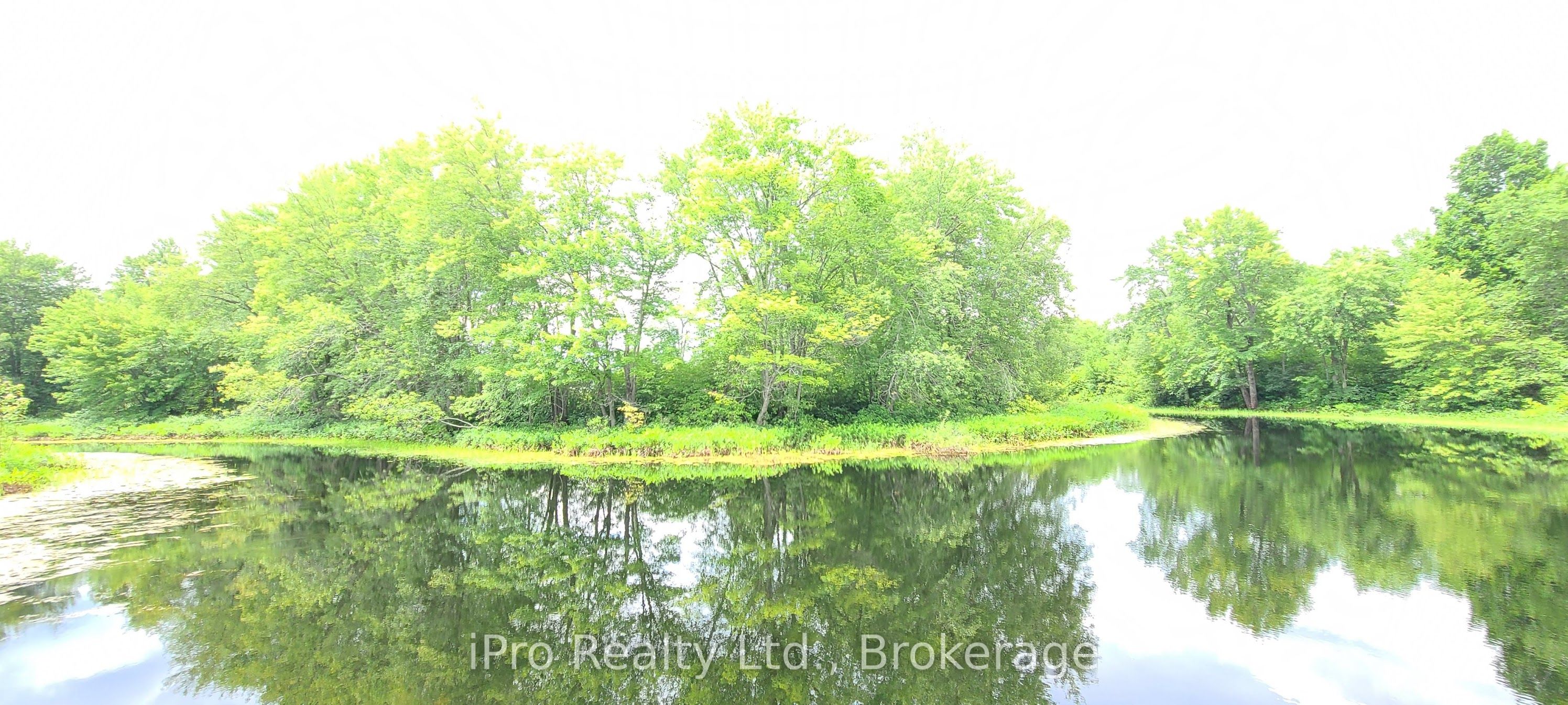 788 Courneya Road Property Photo 20