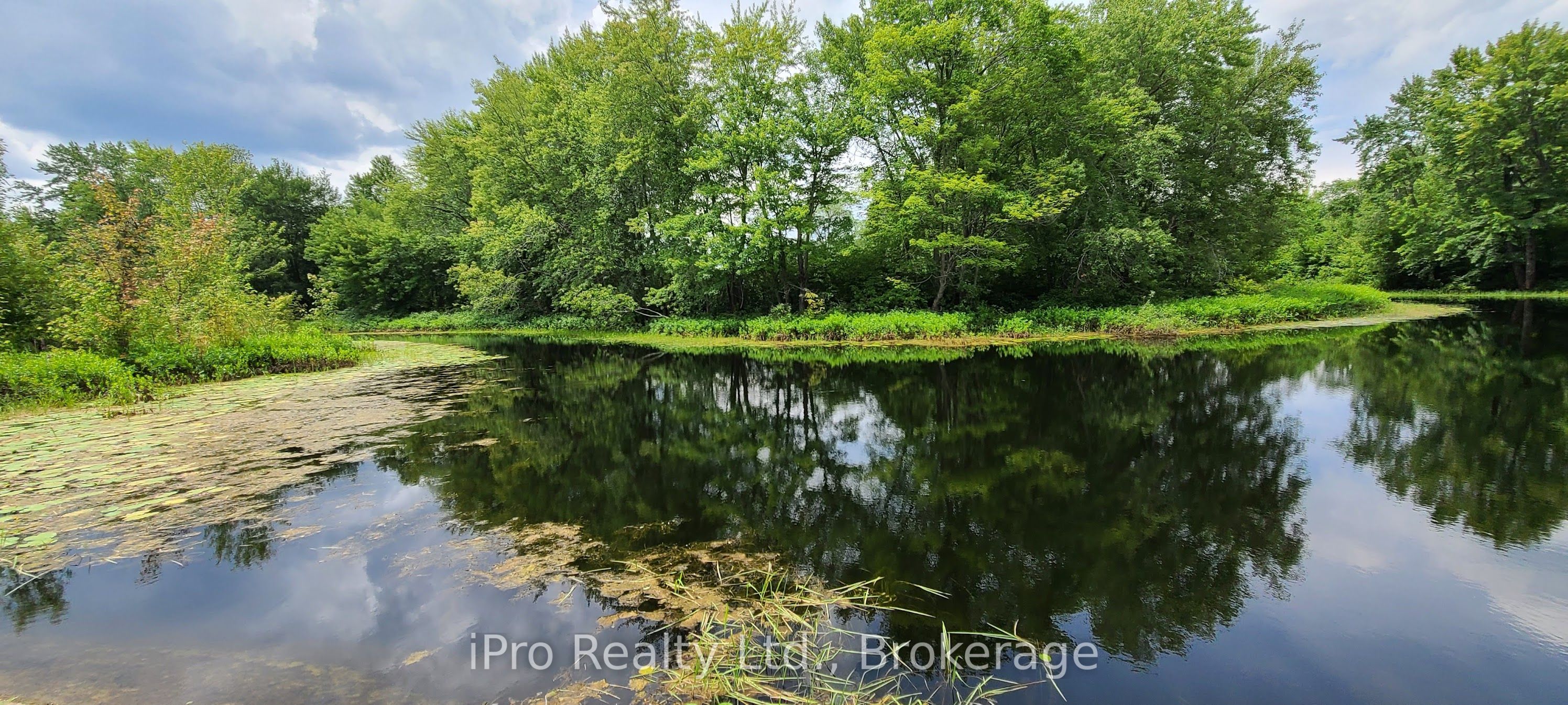 788 Courneya Road Property Photo 21