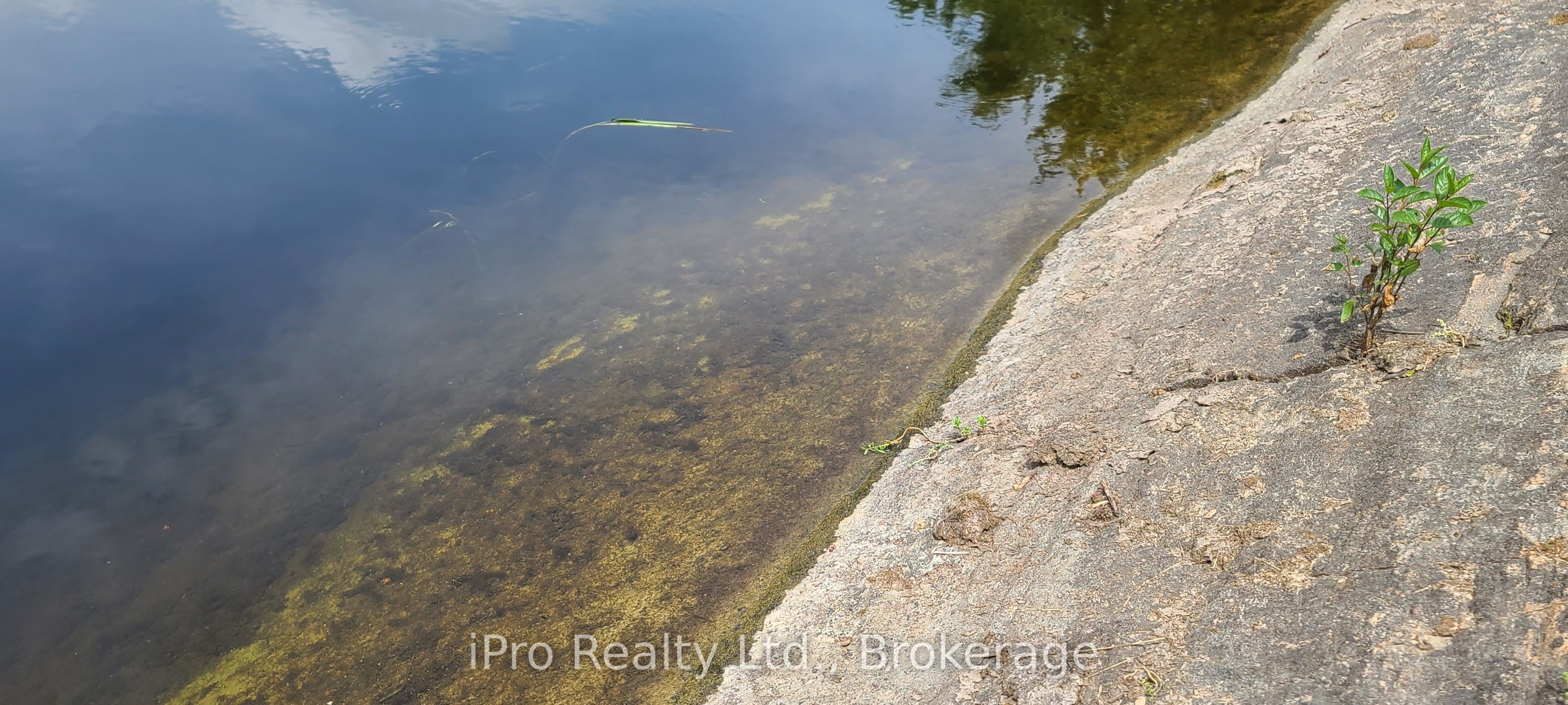 788 Courneya Road Property Photo 23