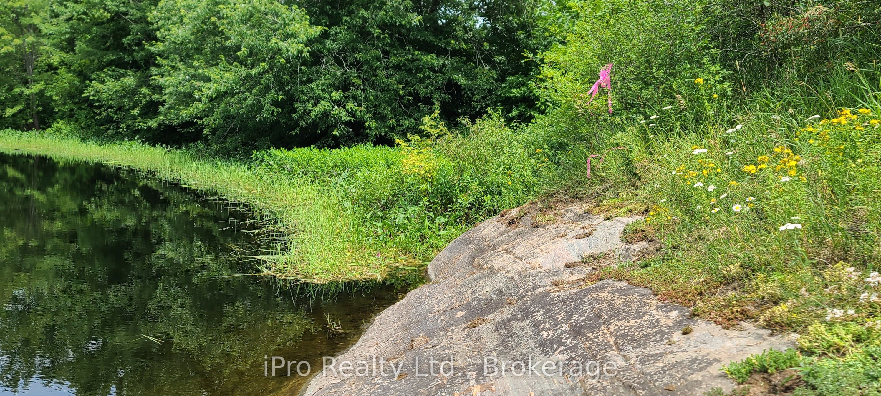 788 Courneya Road Property Photo 25