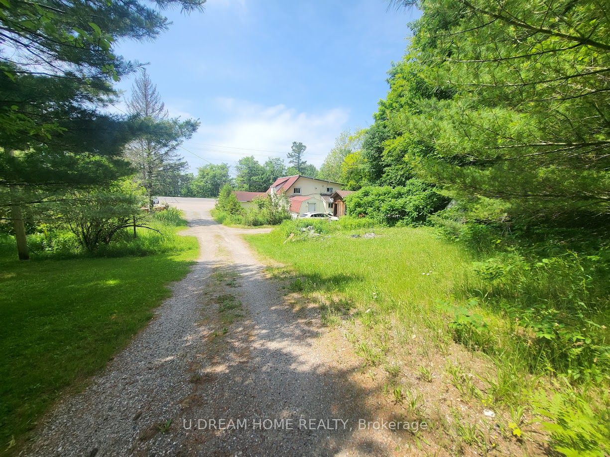 2874 Muskoka 169 Road Property Photo 3