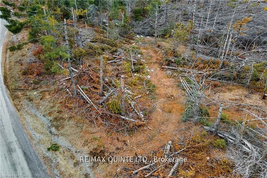 0 Potter Settlement Road Property Photo 2