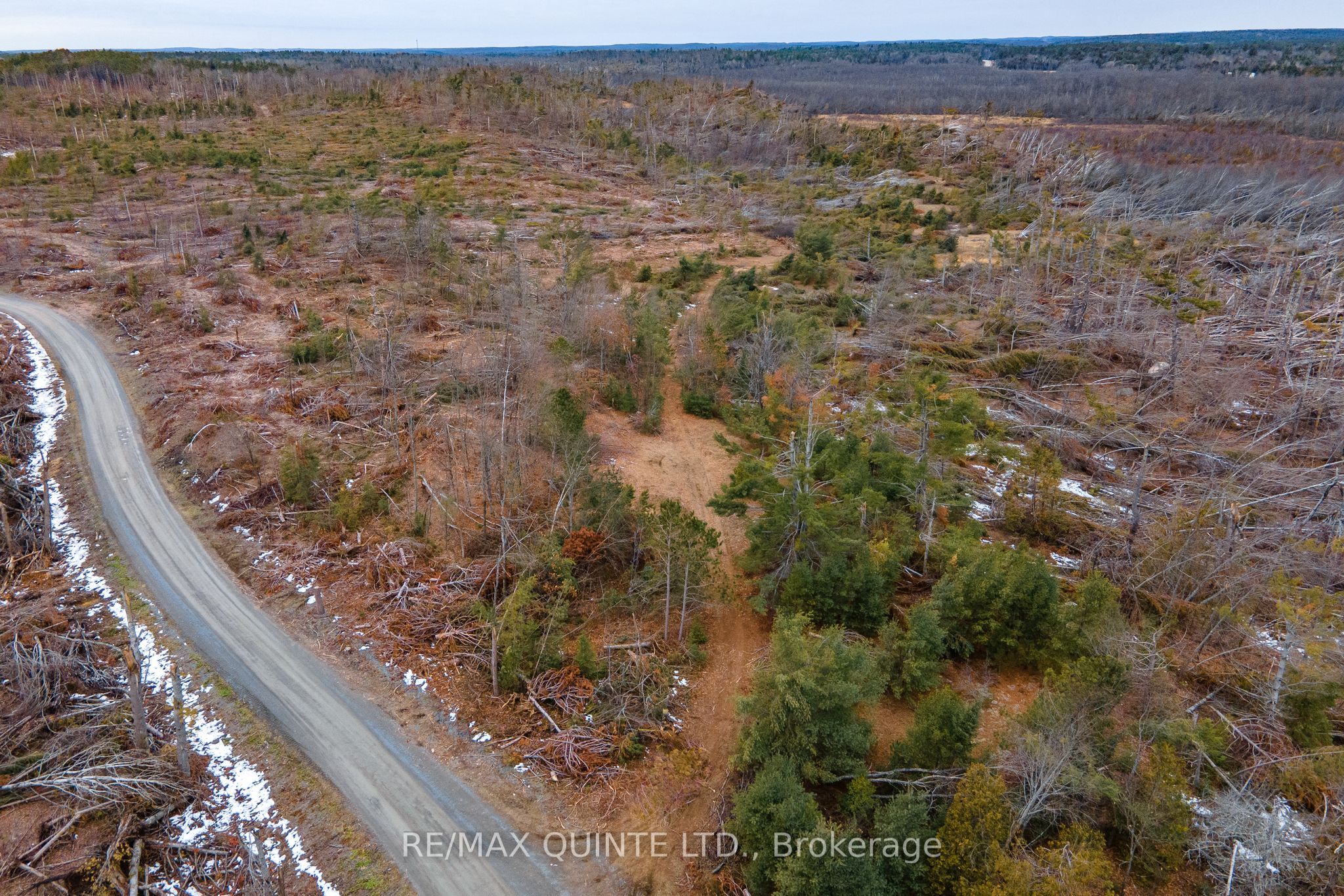 0 Potter Settlement Road Property Photo 3