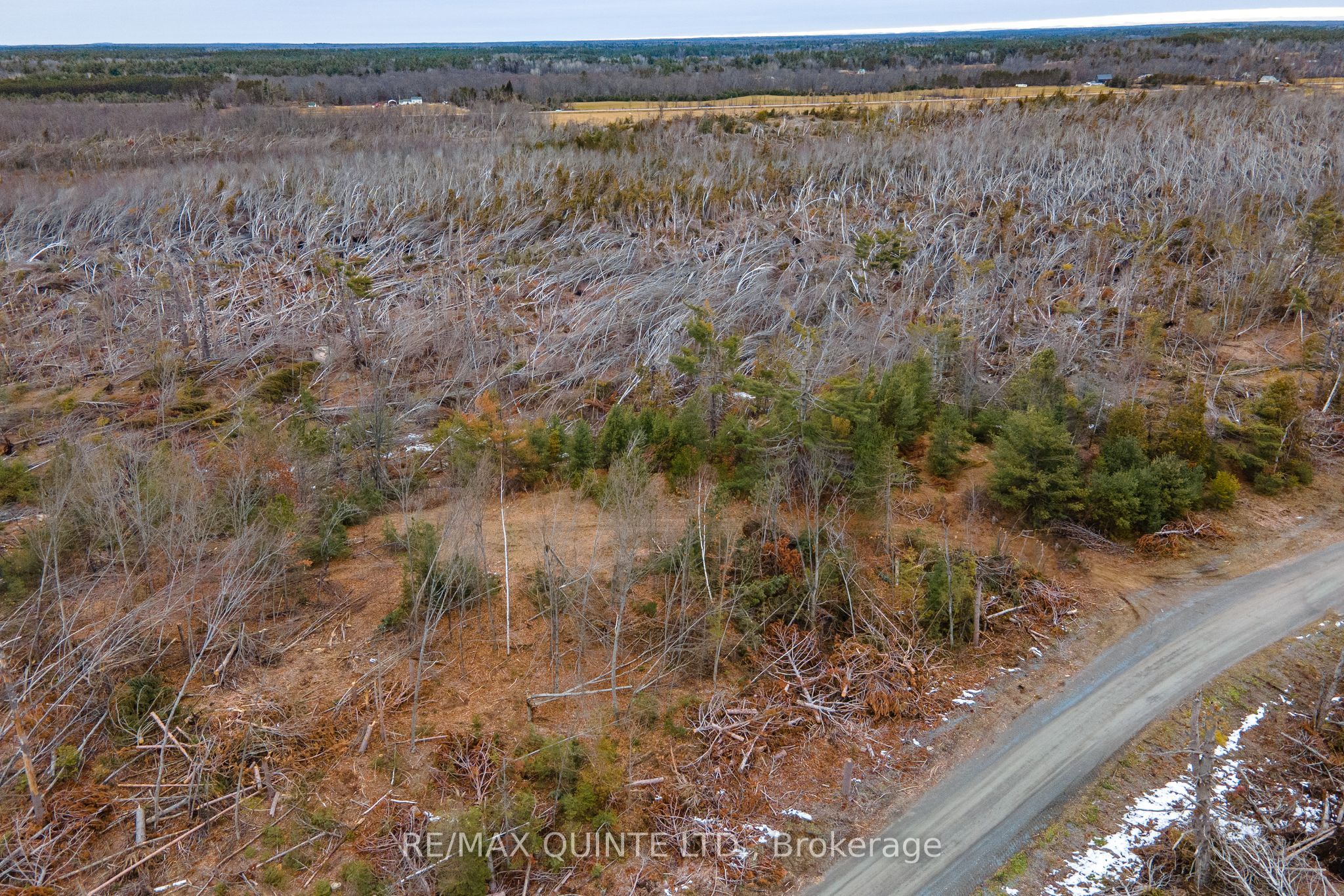 0 Potter Settlement Road Property Photo 4