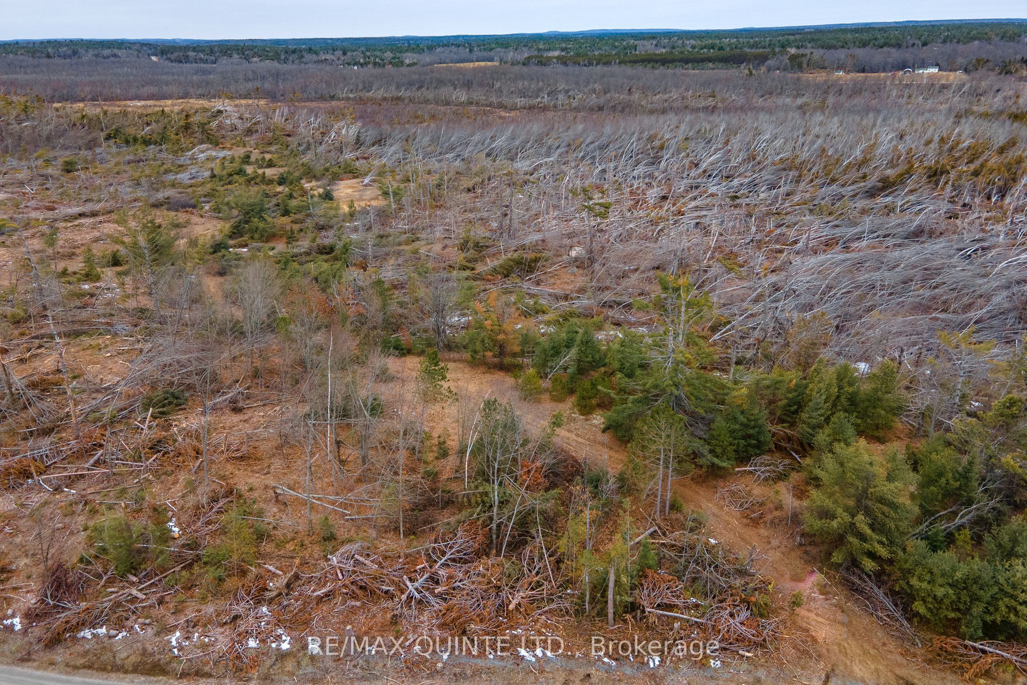 0 Potter Settlement Road Property Photo 5