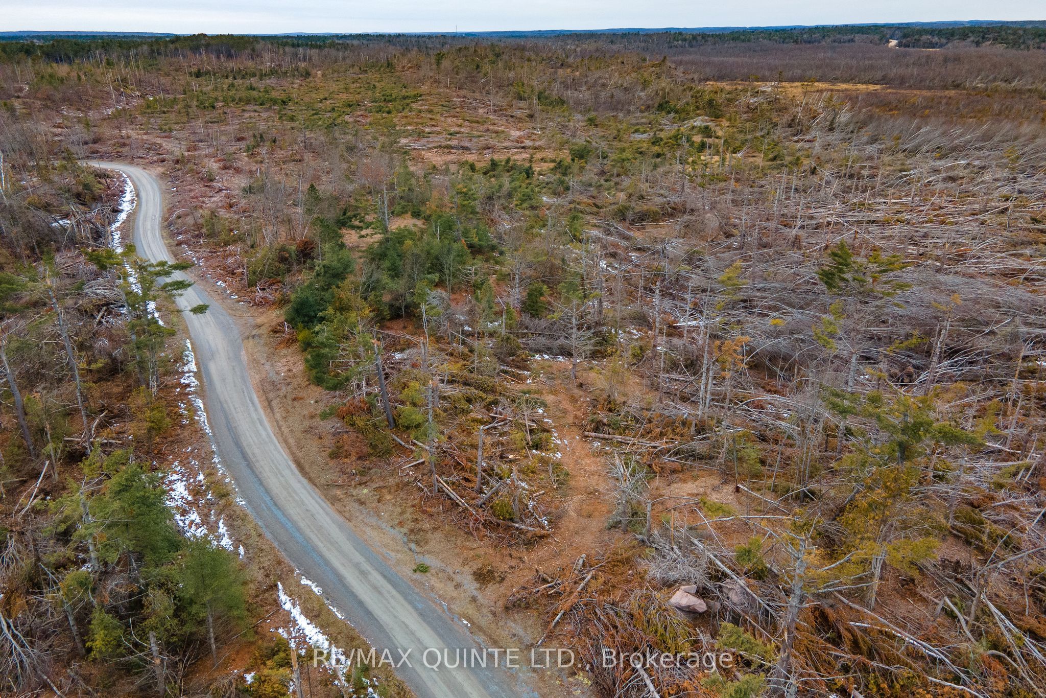 0 Potter Settlement Road Property Photo 6