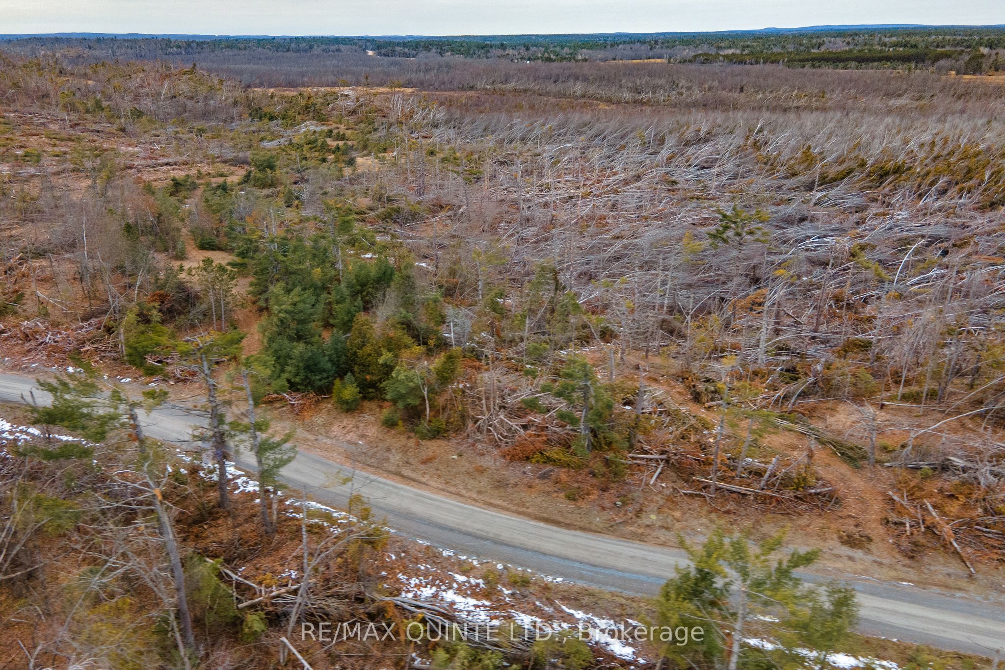 0 Potter Settlement Road Property Photo 7