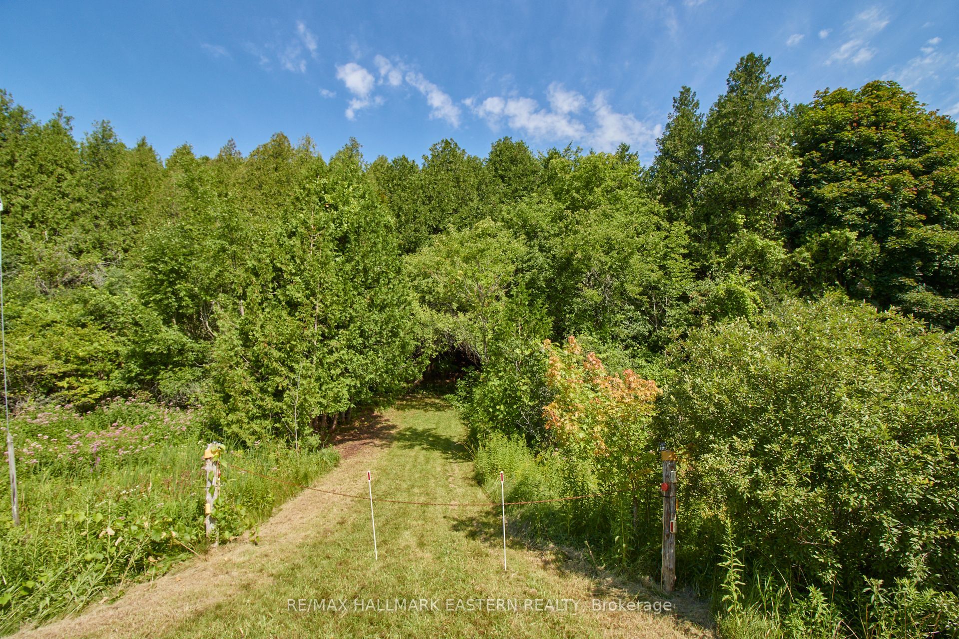 732 Zion 4th Line Property Photo 2