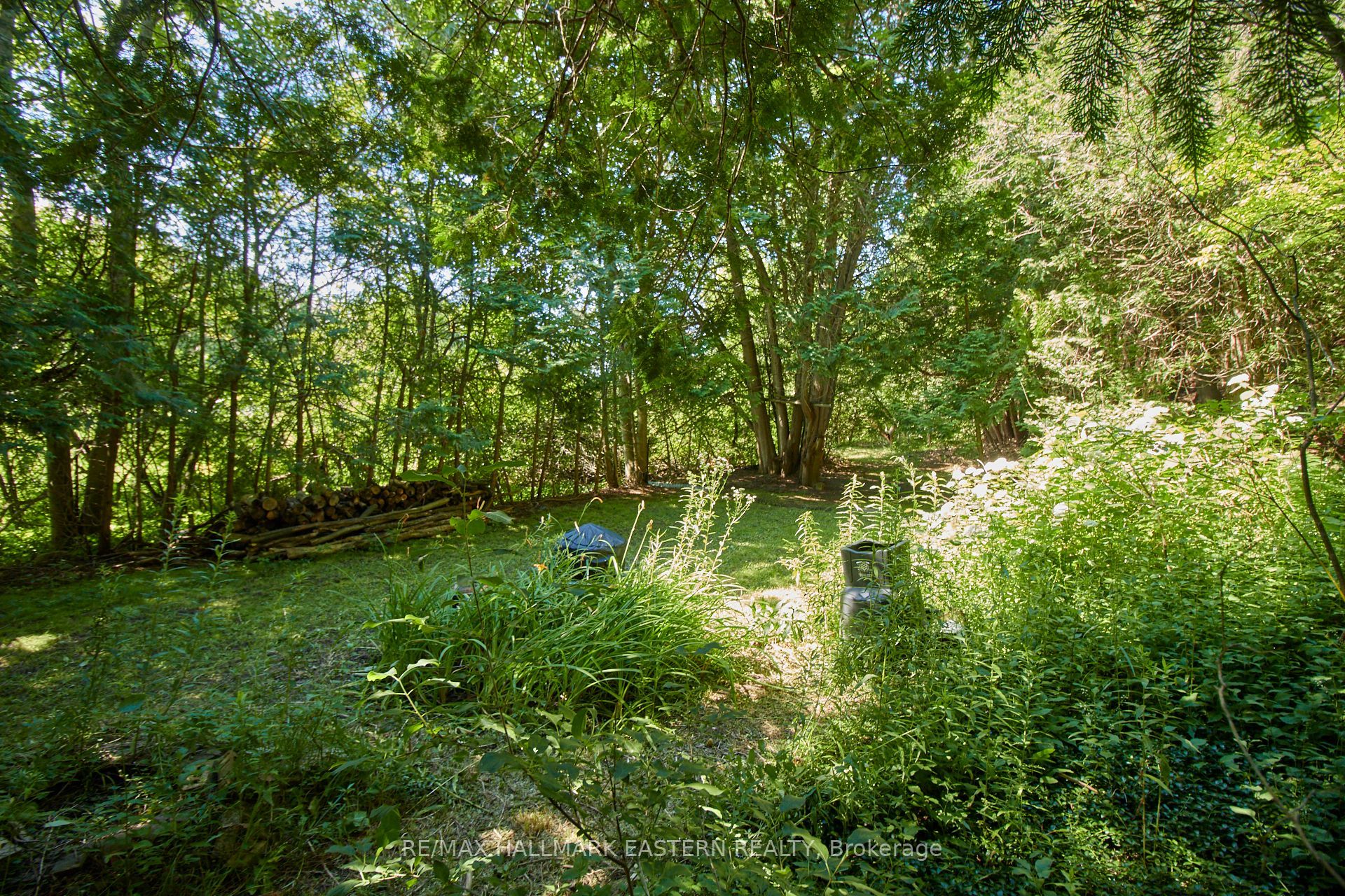 732 Zion 4th Line Property Photo 4