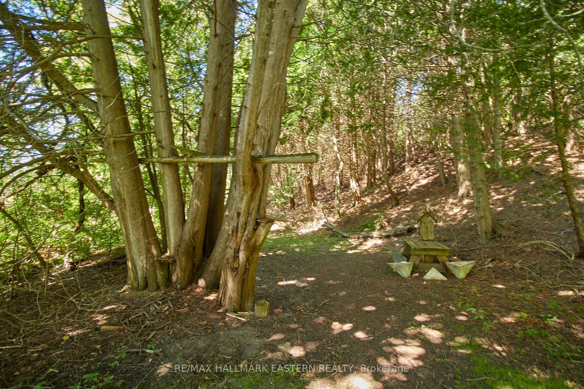 732 Zion 4th Line Property Photo 10