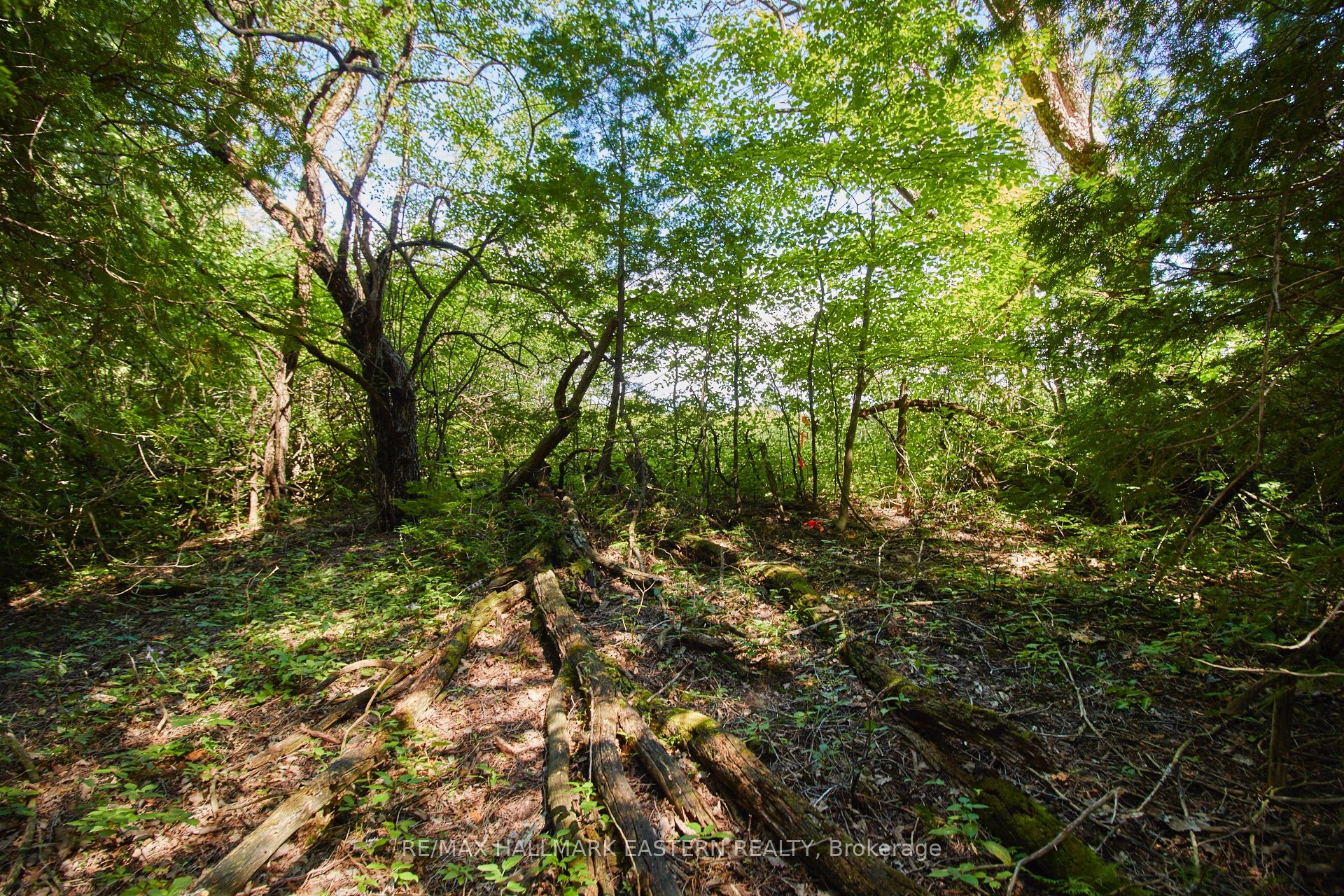 732 Zion 4th Line Property Photo 12