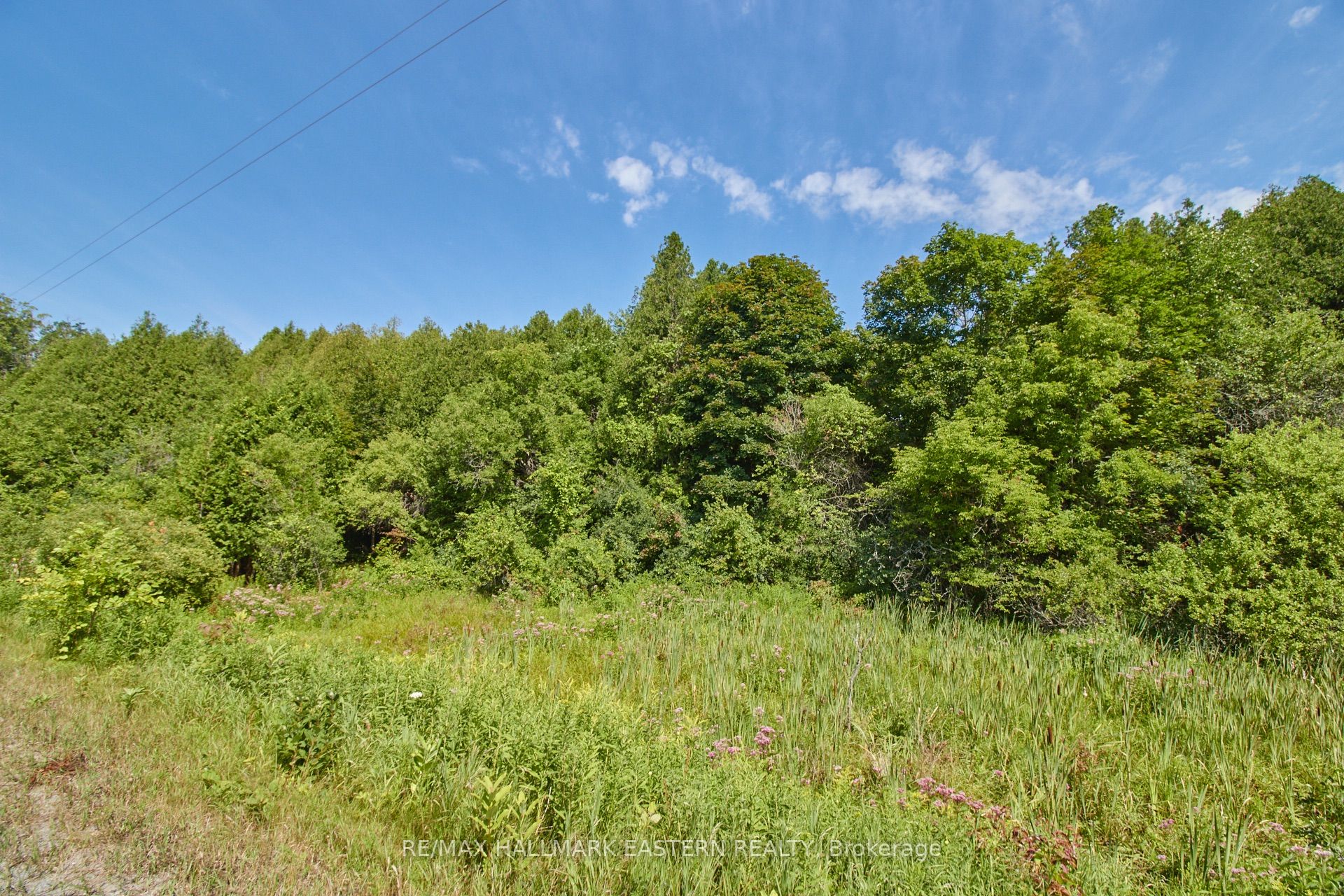 732 Zion 4th Line Property Photo 15