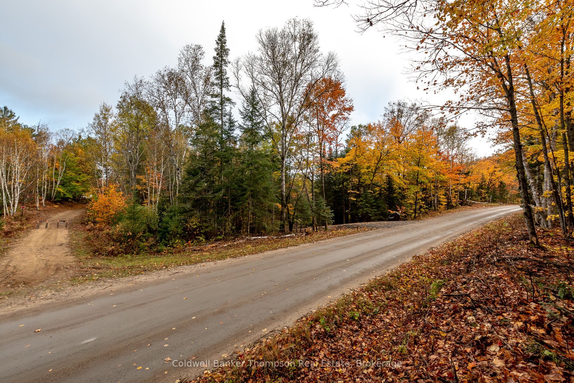 Lot 1 Emsdale Lake Road Property Photo 2