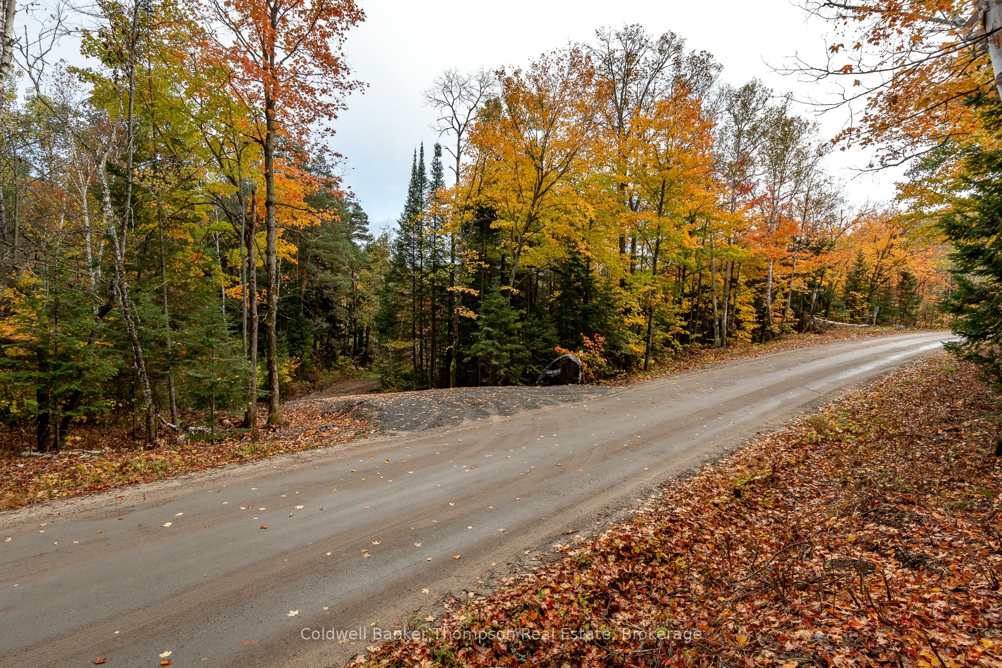 Lot 1 Emsdale Lake Road Property Photo 3