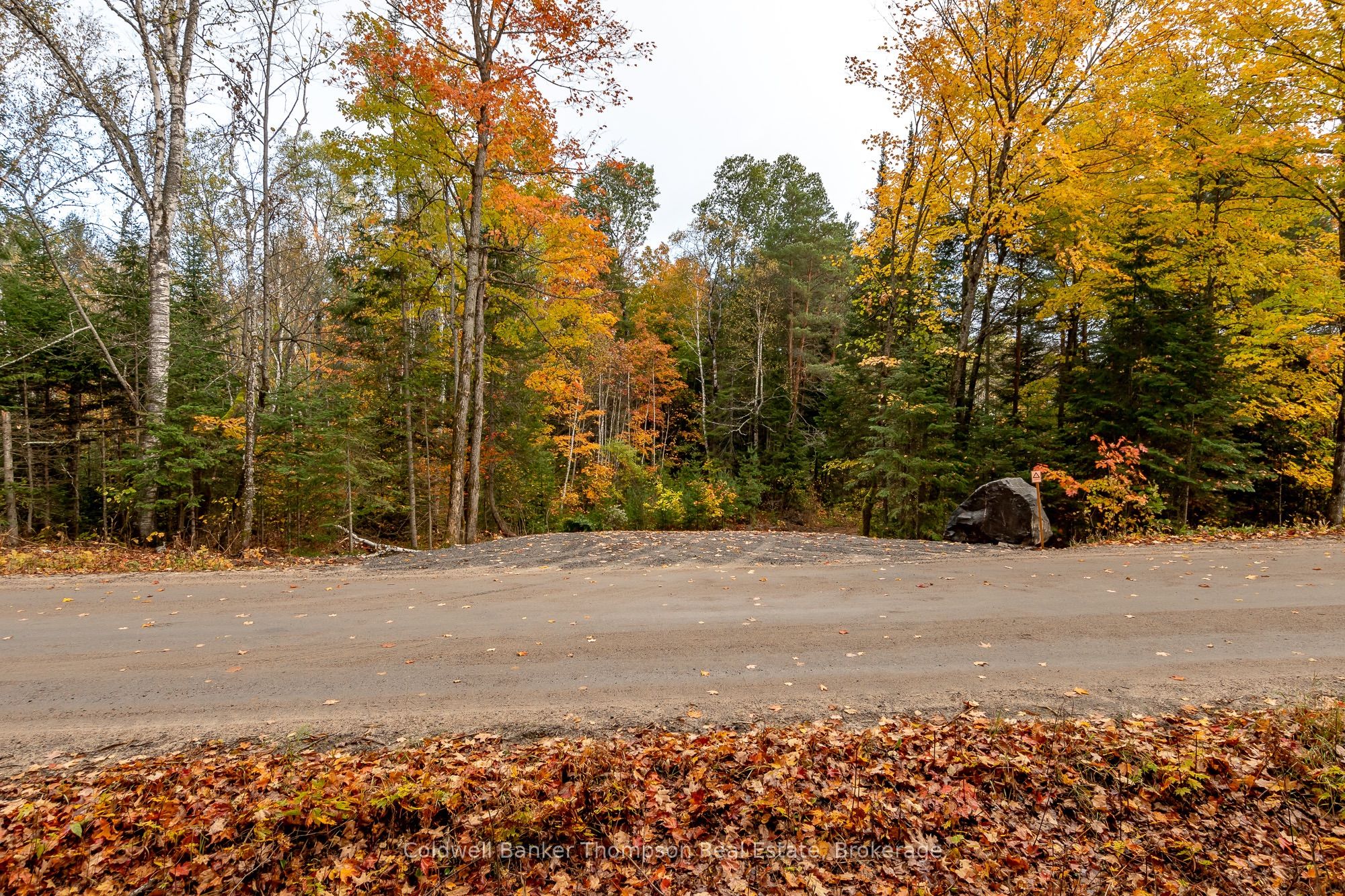 Lot 1 Emsdale Lake Road Property Photo 4
