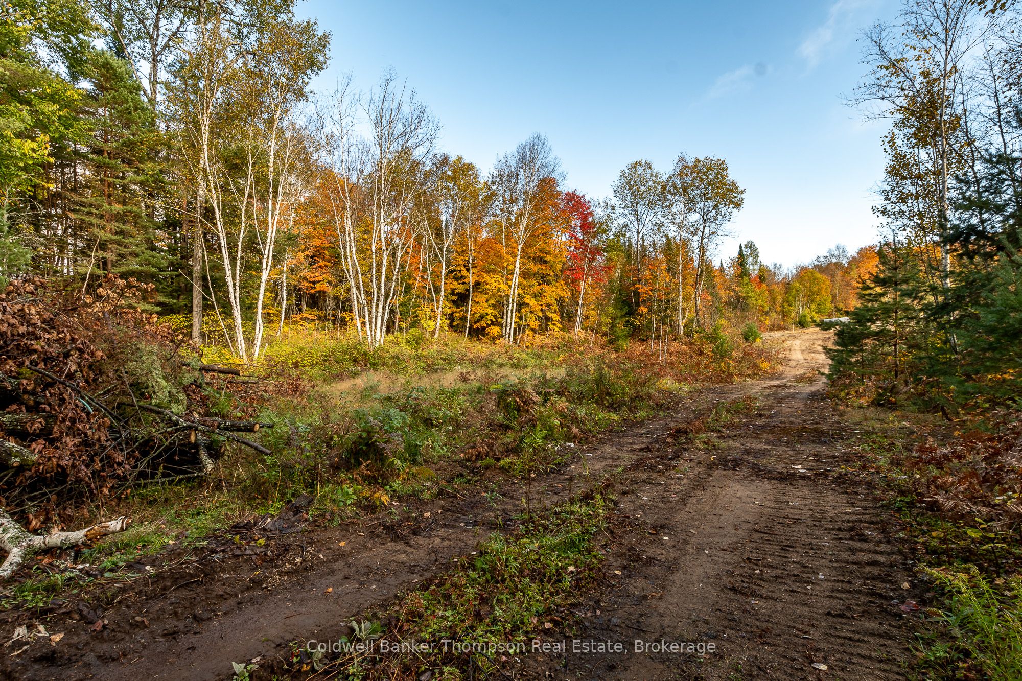 Lot 1 Emsdale Lake Road Property Photo 9