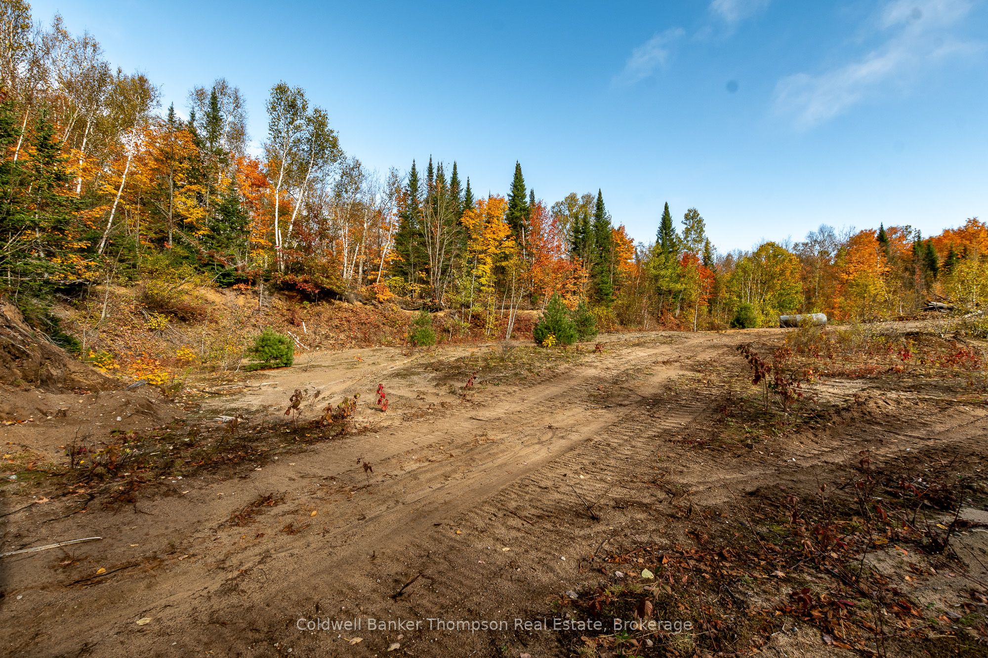 Lot 1 Emsdale Lake Road Property Photo 10