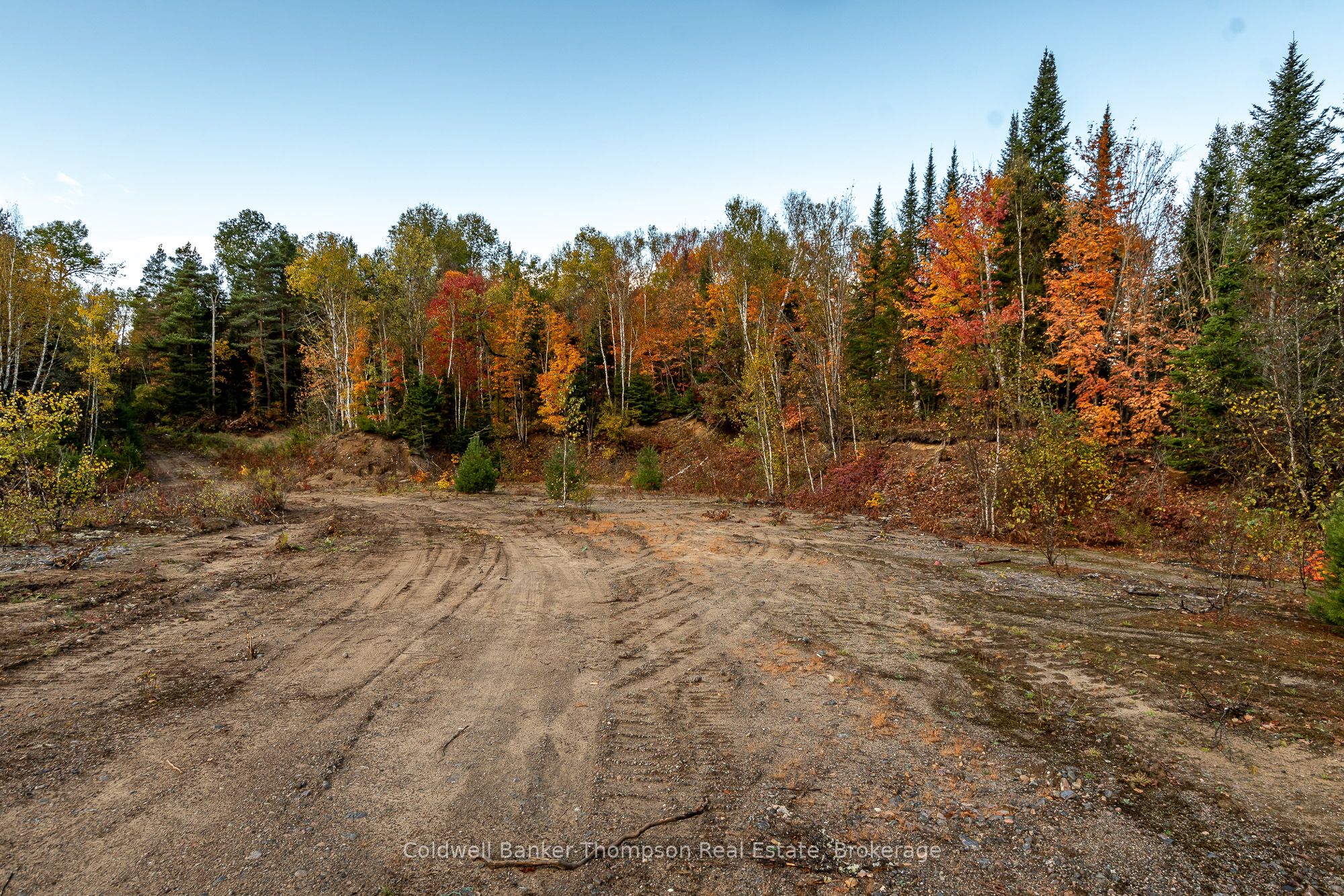 Lot 1 Emsdale Lake Road Property Photo 12