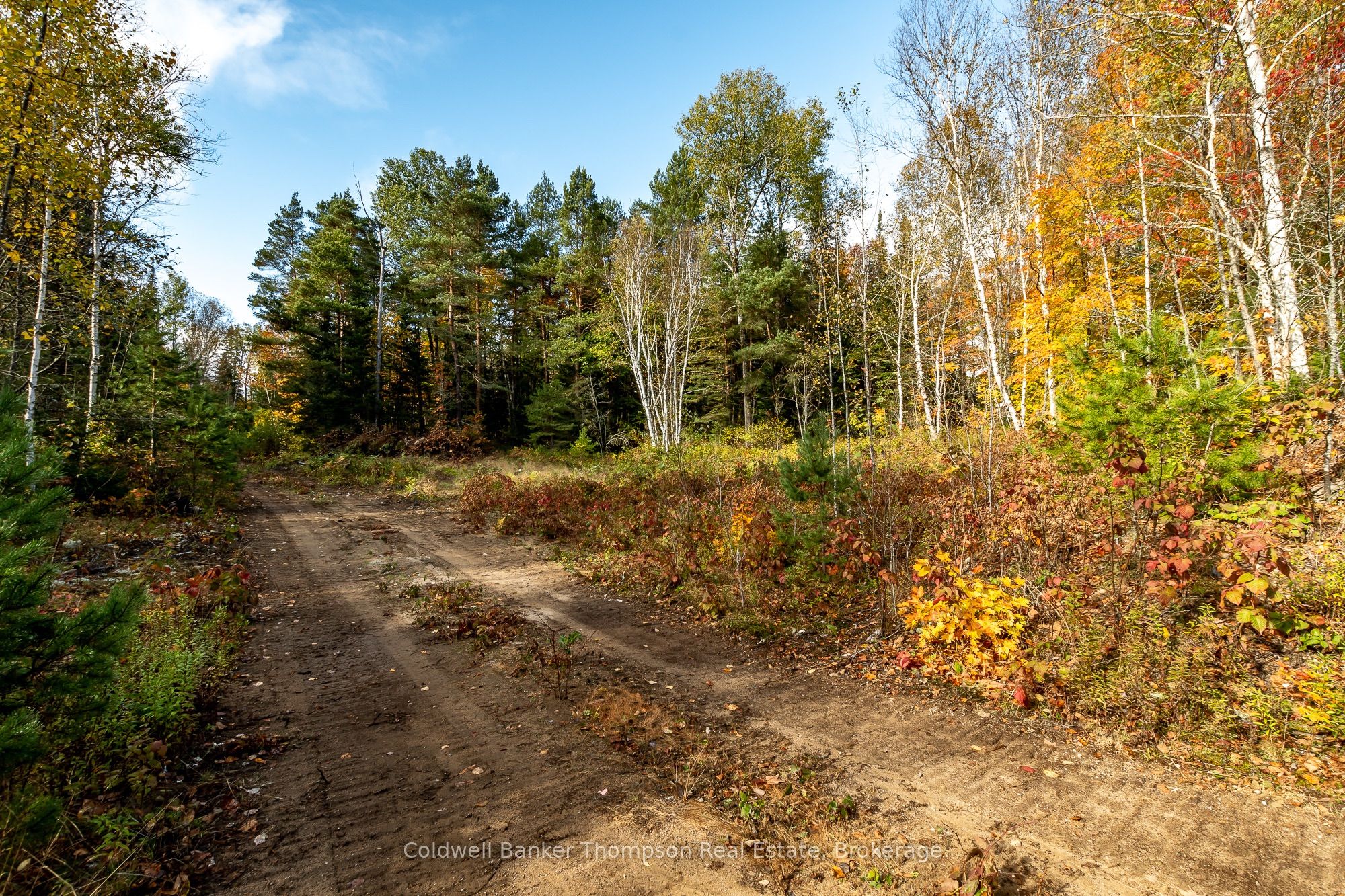Lot 1 Emsdale Lake Road Property Photo 13