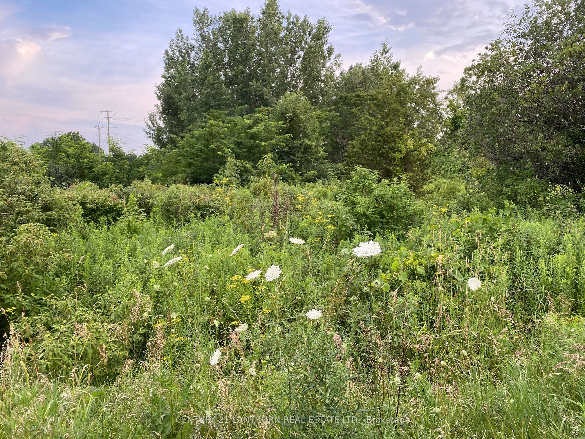 Lot 29 Mcdonald Drive Property Photo 2