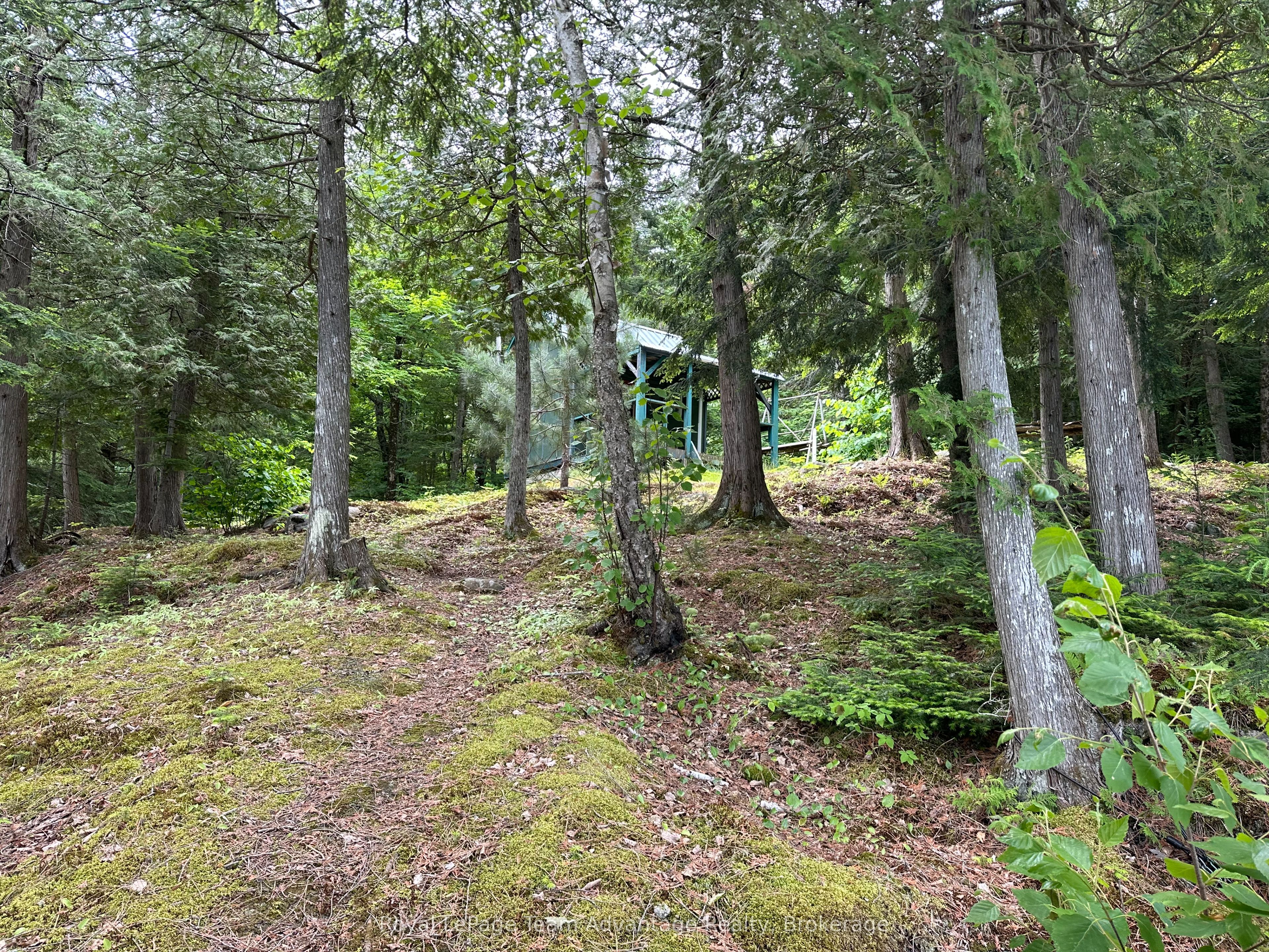 0 Whitestone Property Photo 5
