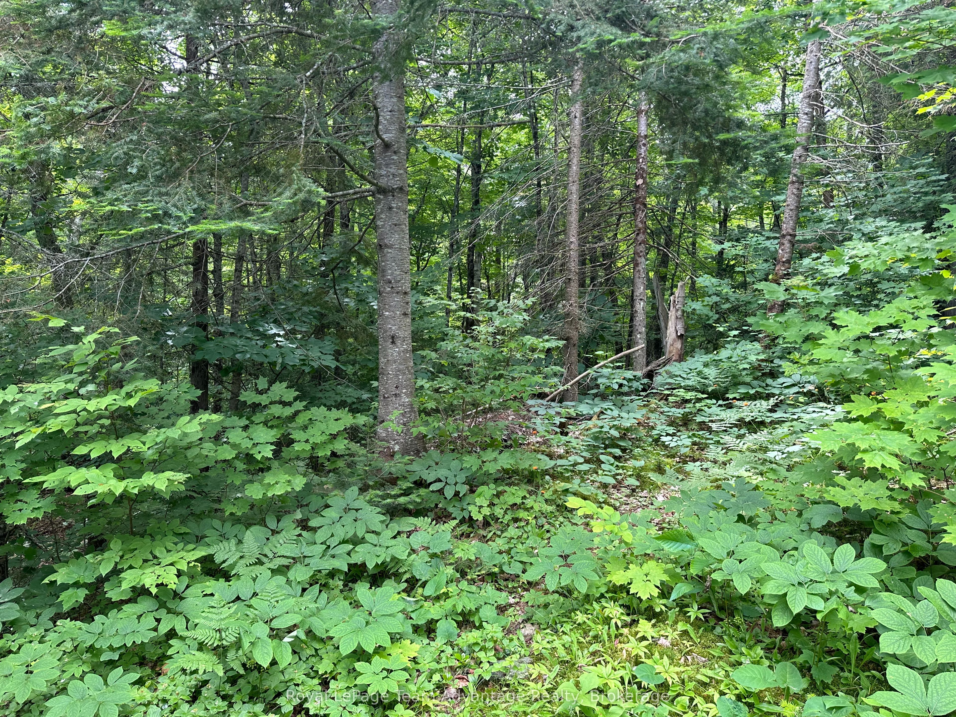 0 Whitestone Property Photo 16