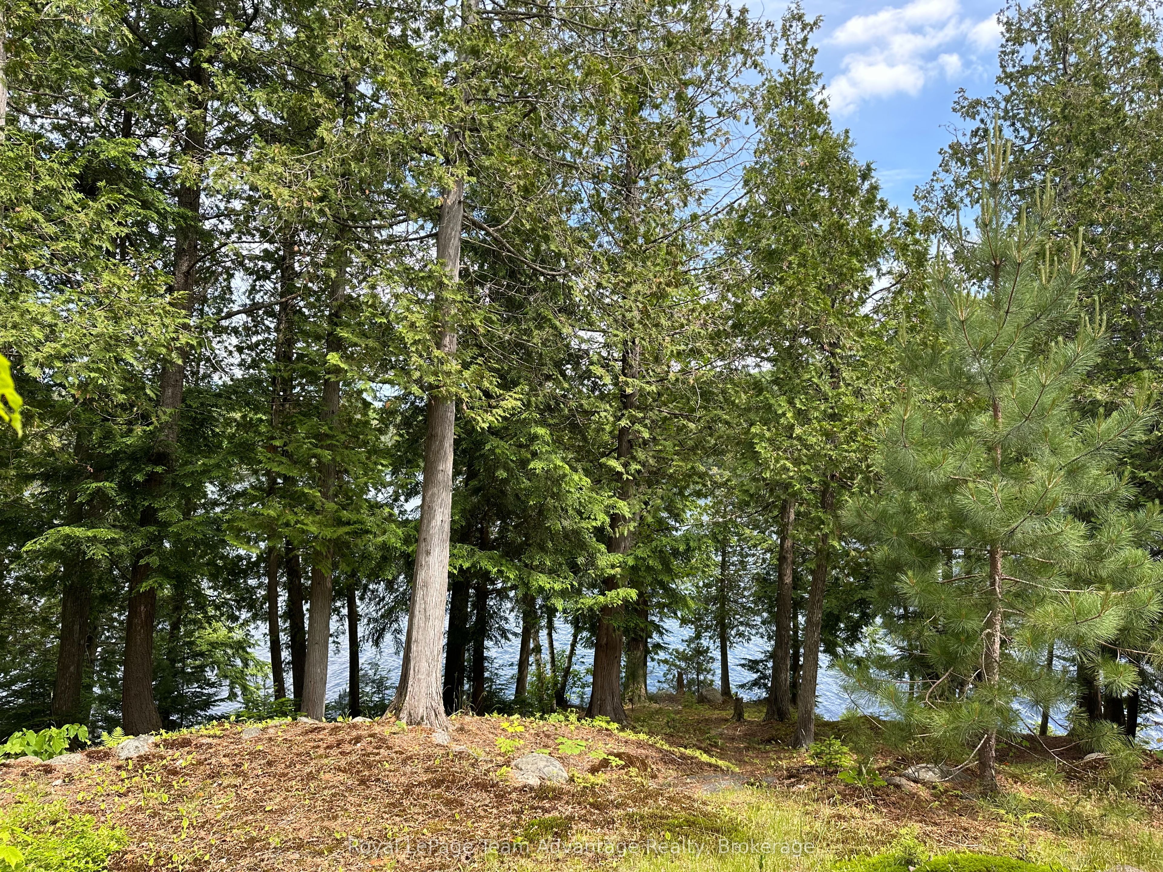 0 Whitestone Property Photo 18