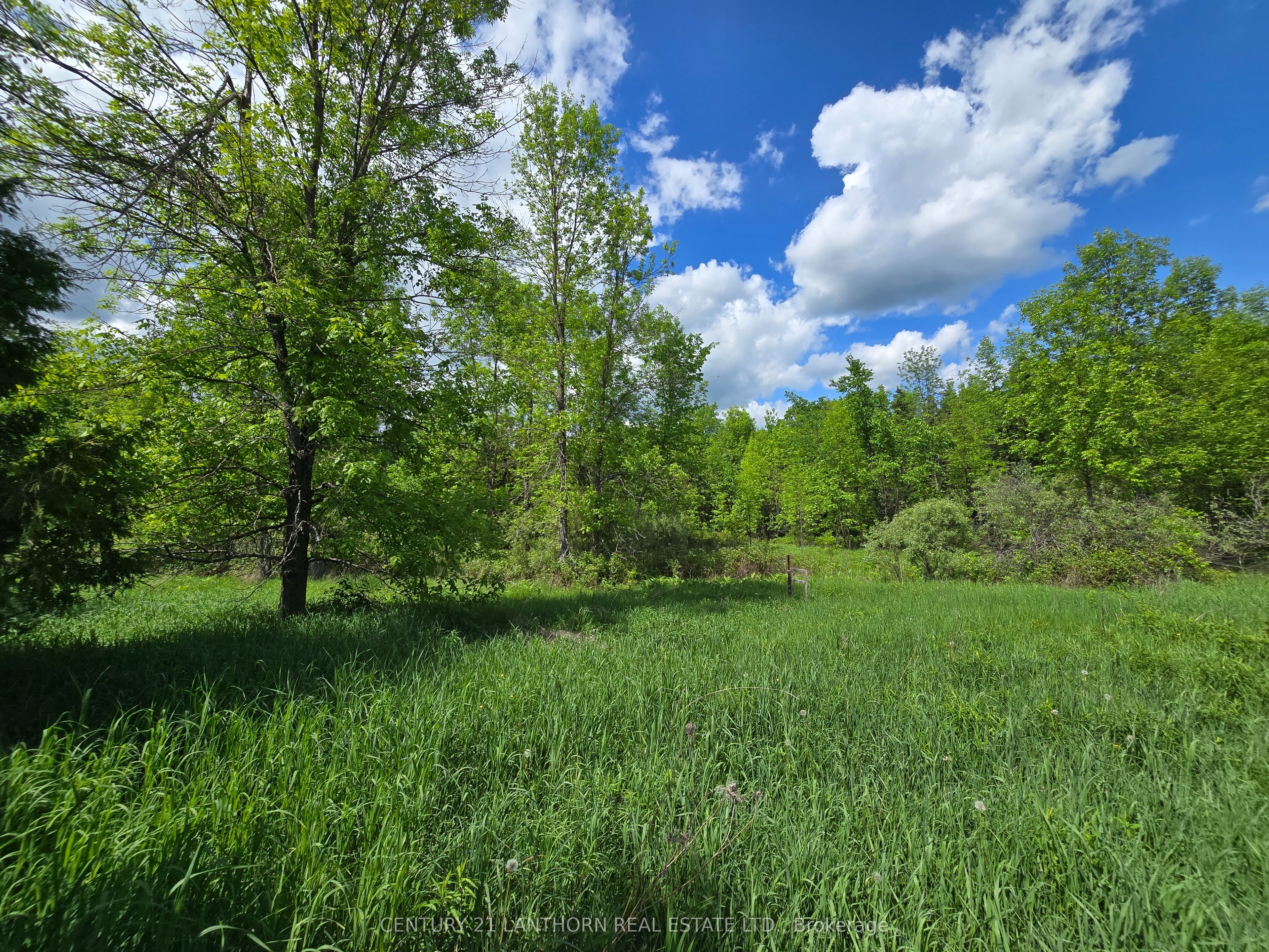 118 Storms Road Property Photo 10